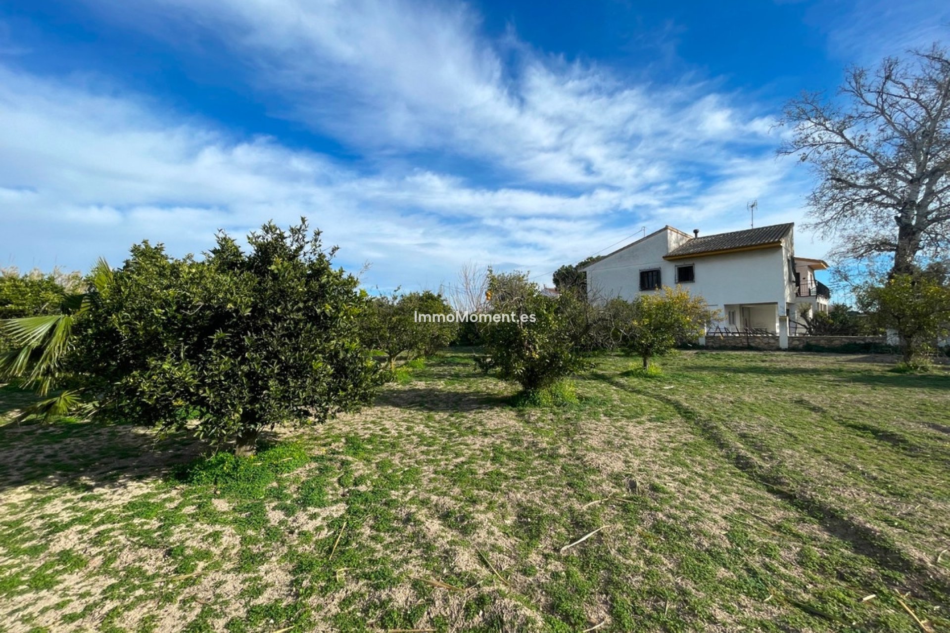 Wiederverkauf - Freistehende Villa - Benejúzar - Benejuzar Centro