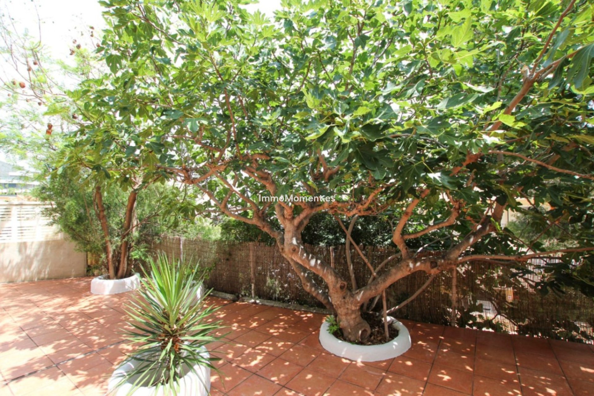 Wiederverkauf - Freistehende Villa - Calpe - Calpe Centro