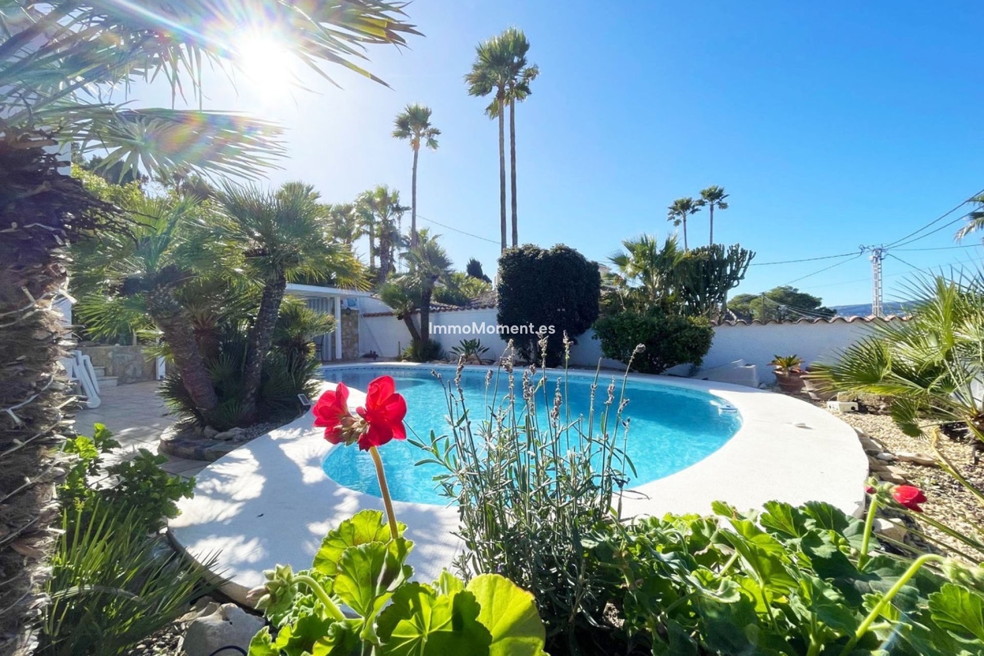Wiederverkauf - Freistehende Villa - Calpe - Calpe Centro