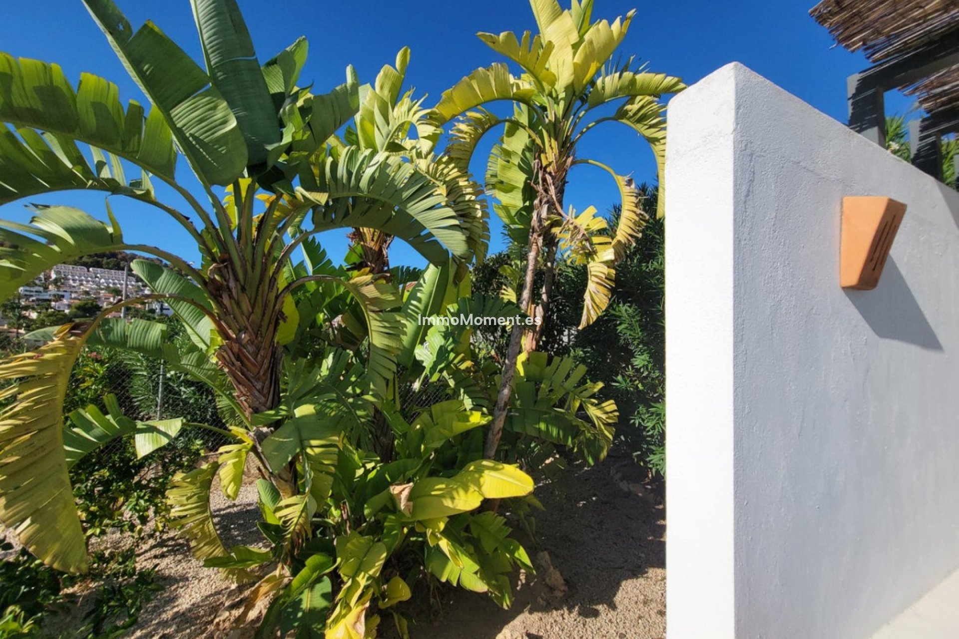 Wiederverkauf - Freistehende Villa - Calpe - Calpe Centro