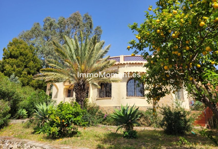 Wiederverkauf - Freistehende Villa - Calpe - Calpe Centro