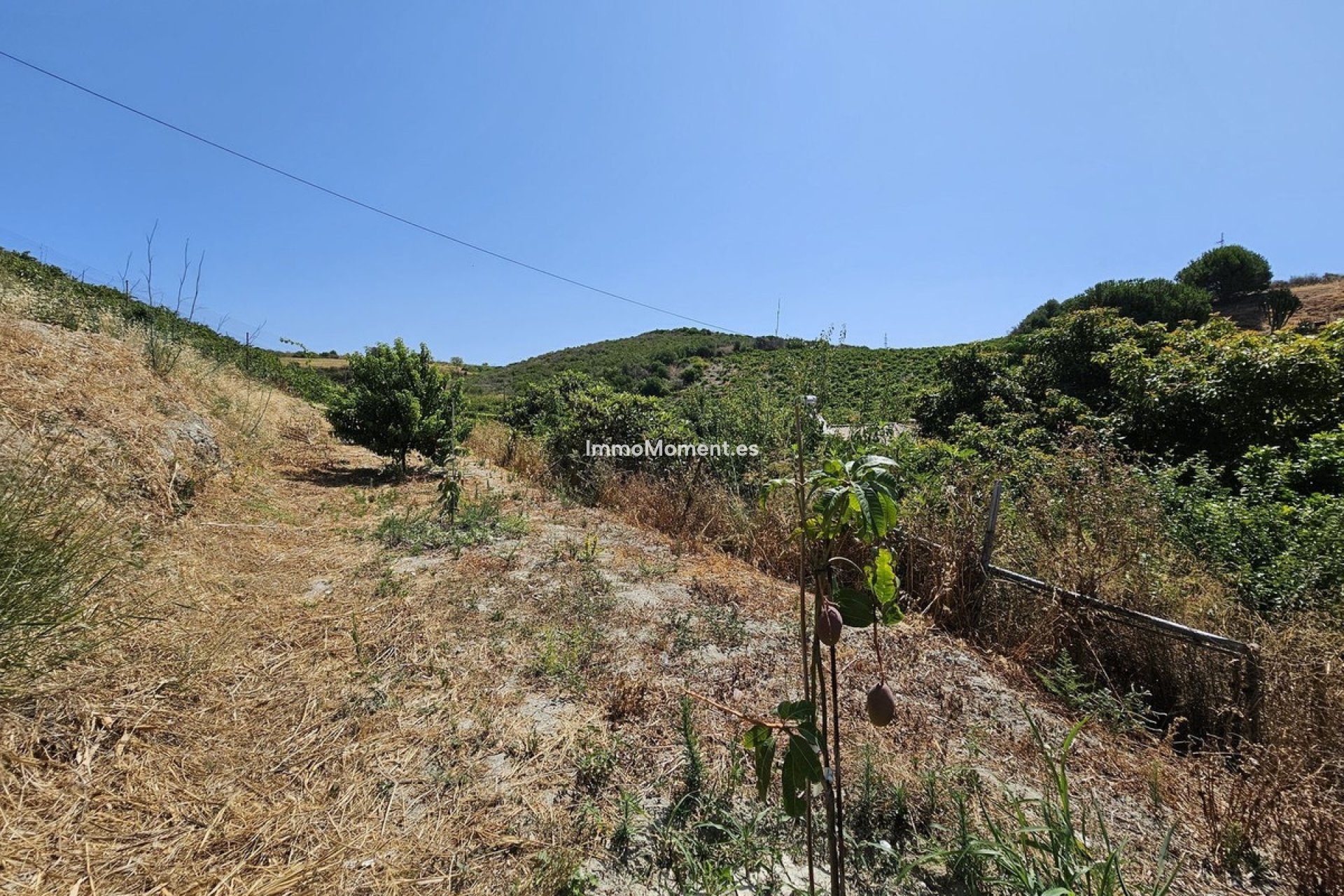 Wiederverkauf - Freistehende Villa - Casares - Casares Centro