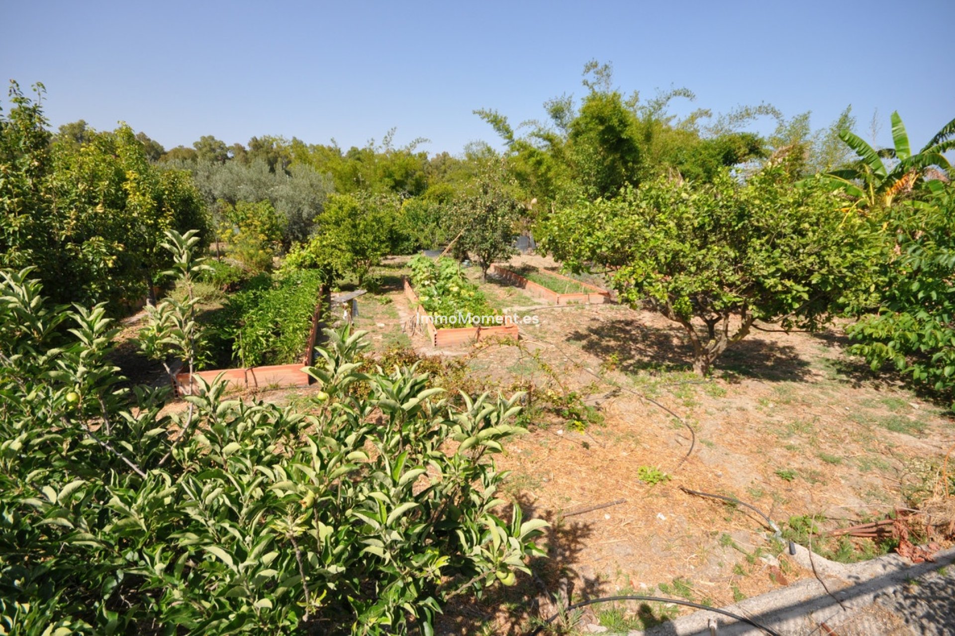 Wiederverkauf - Freistehende Villa - Casares - Casares Playa