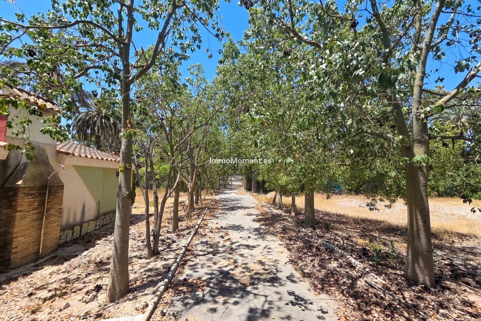 Wiederverkauf - Freistehende Villa - Elche - Elche Centro