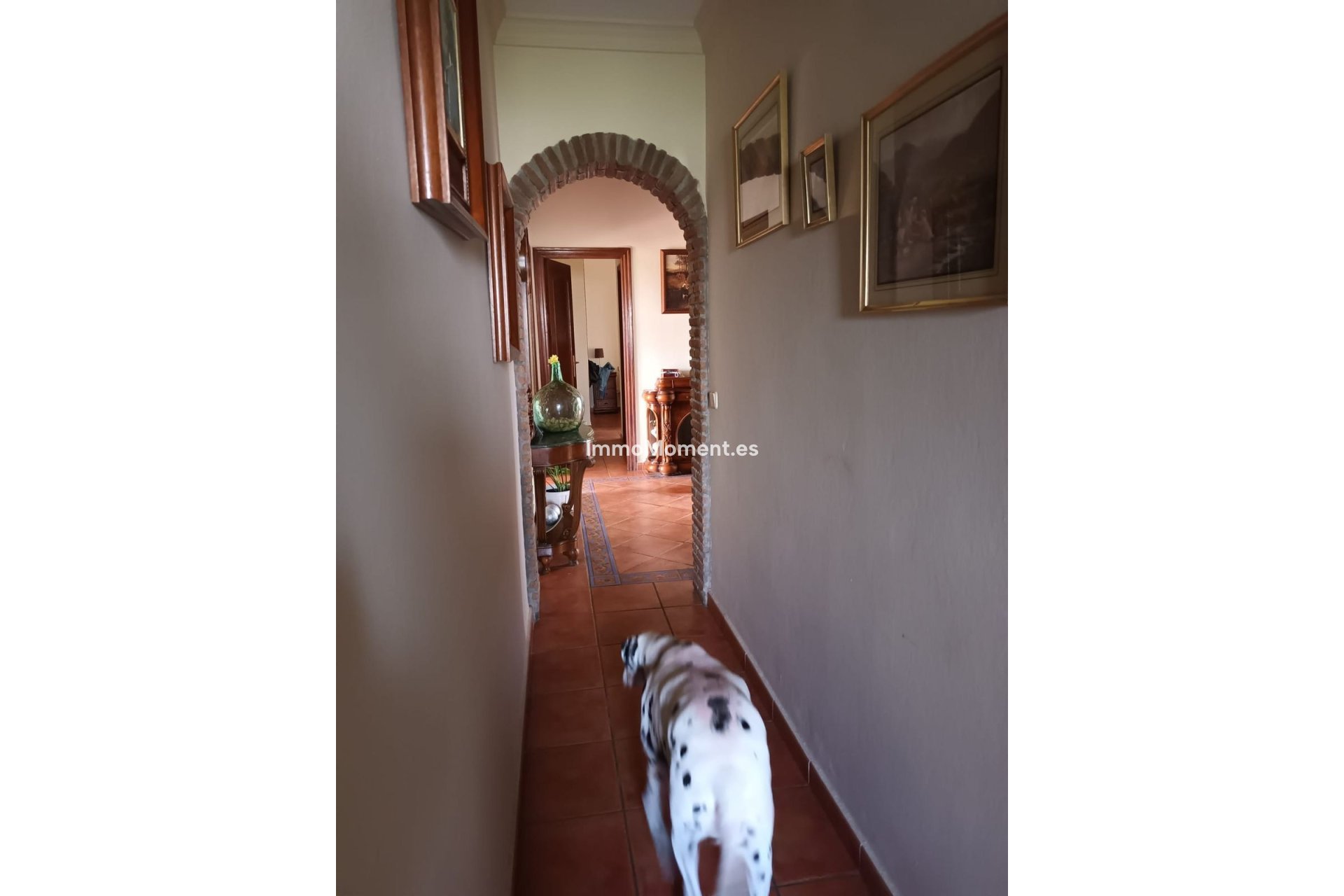 Wiederverkauf - Freistehende Villa - Estepona  - Cancelada