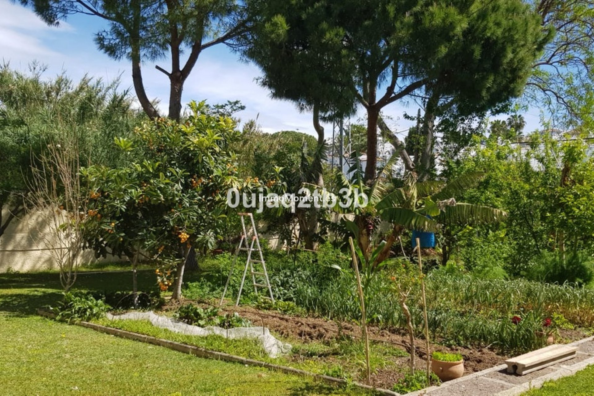 Wiederverkauf - Freistehende Villa - Estepona  - New Golden Mile