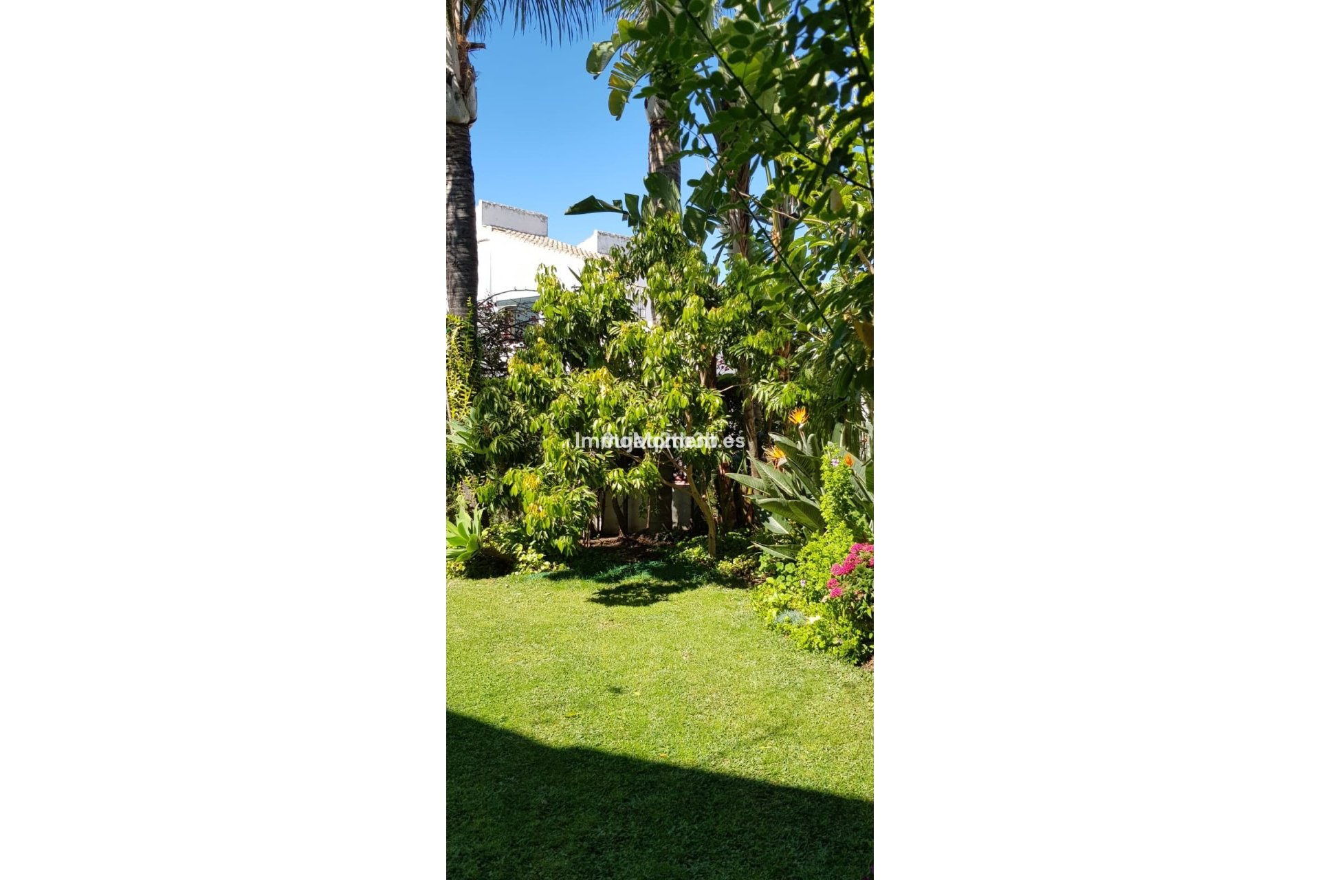 Wiederverkauf - Freistehende Villa - Estepona  - New Golden Mile