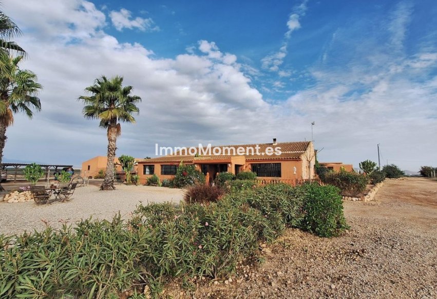 Wiederverkauf - Freistehende Villa - Fuente Alamo - Fuente Álamo de Murcia