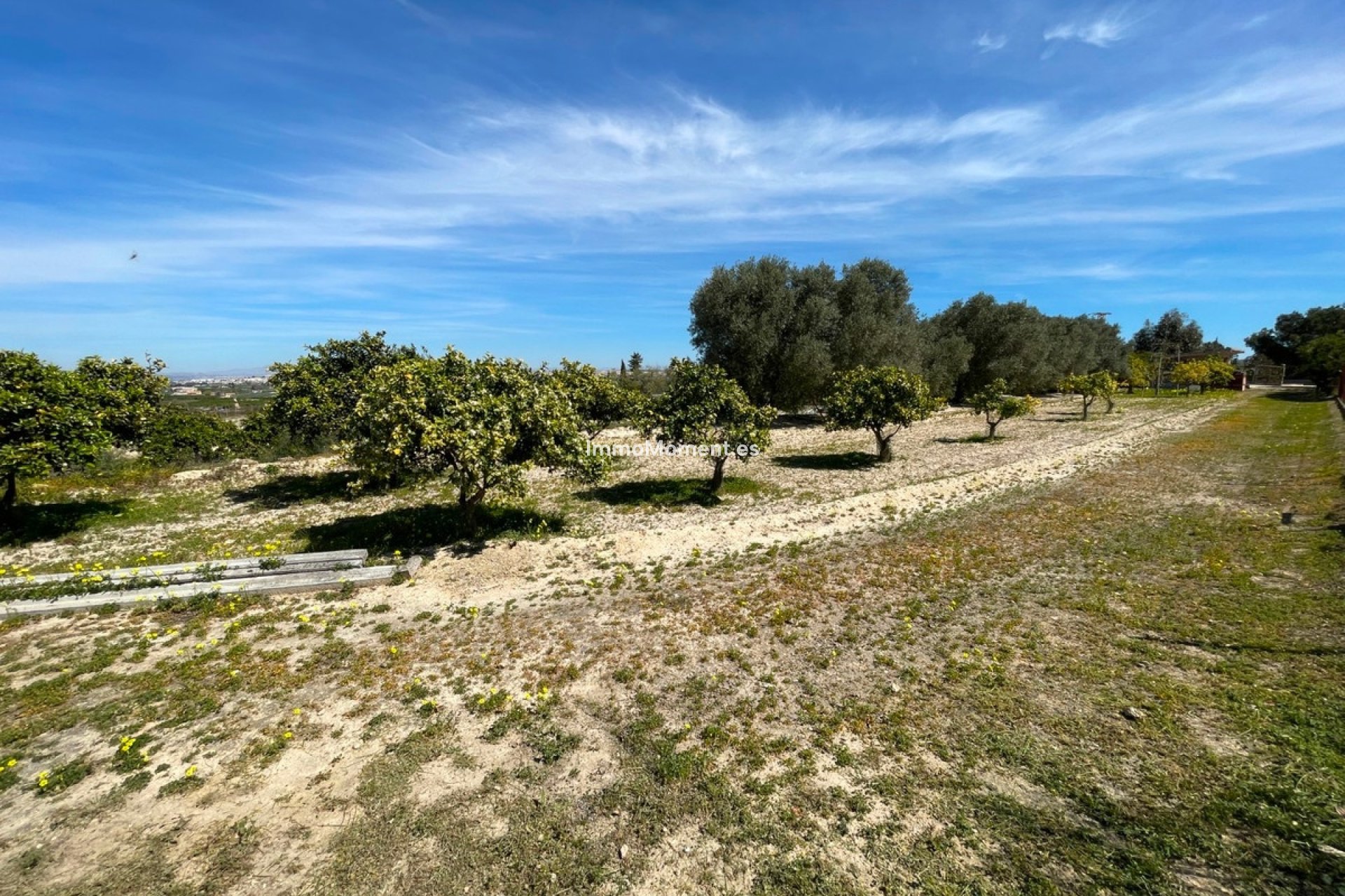 Wiederverkauf - Freistehende Villa - Guardamar del Segura - Guardamar del Segura Centro