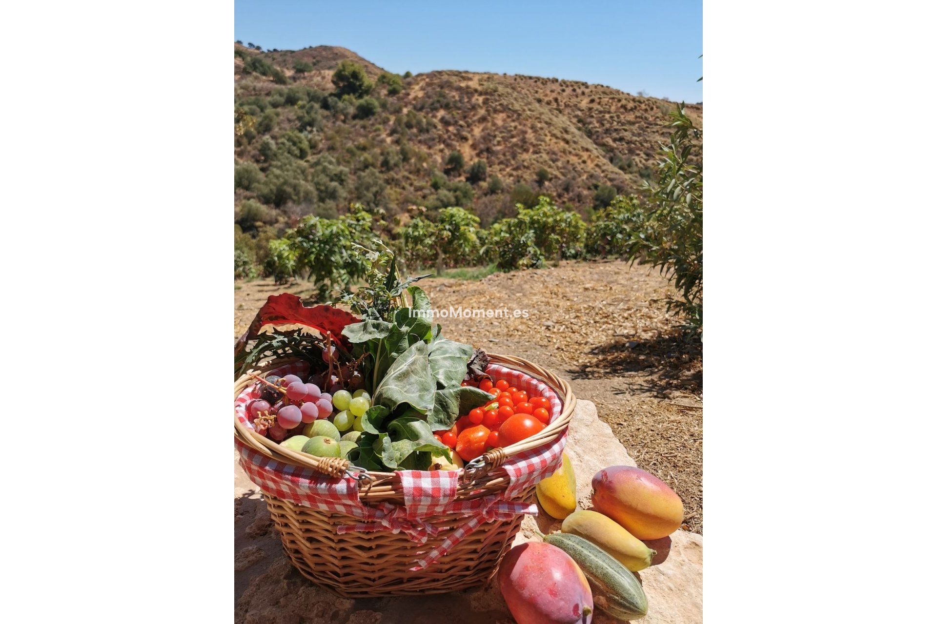 Wiederverkauf - Freistehende Villa -   Inländisch - Alhaurín el Grande Centro