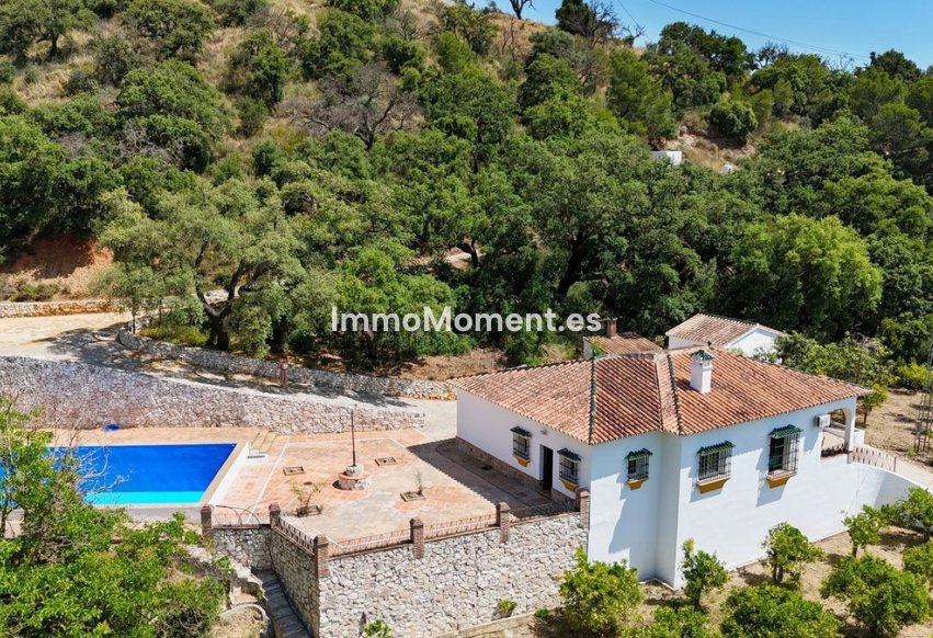 Wiederverkauf - Freistehende Villa -   Inländisch - Alhaurín el Grande Centro
