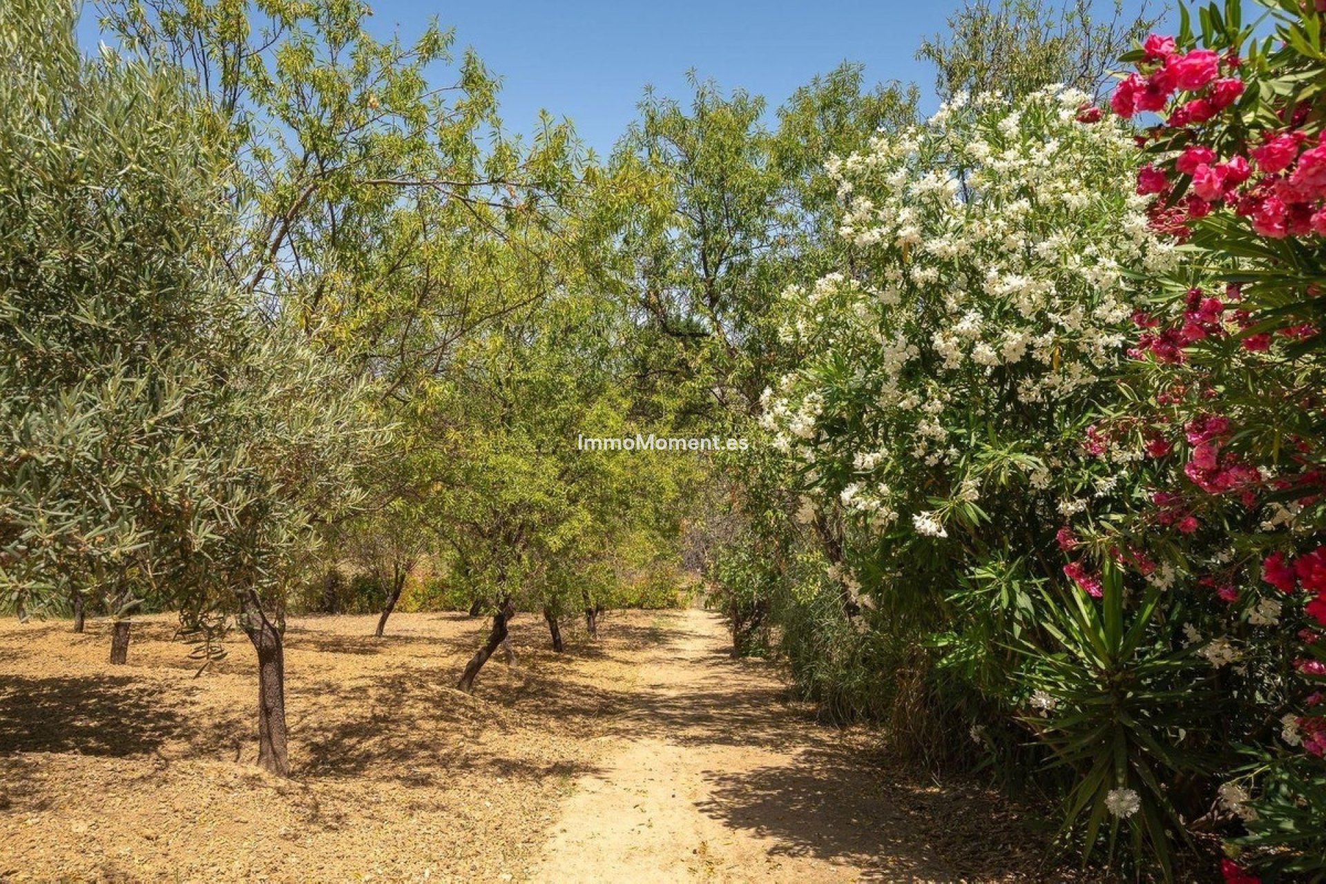 Wiederverkauf - Freistehende Villa -   Inländisch - Alhaurín el Grande Centro