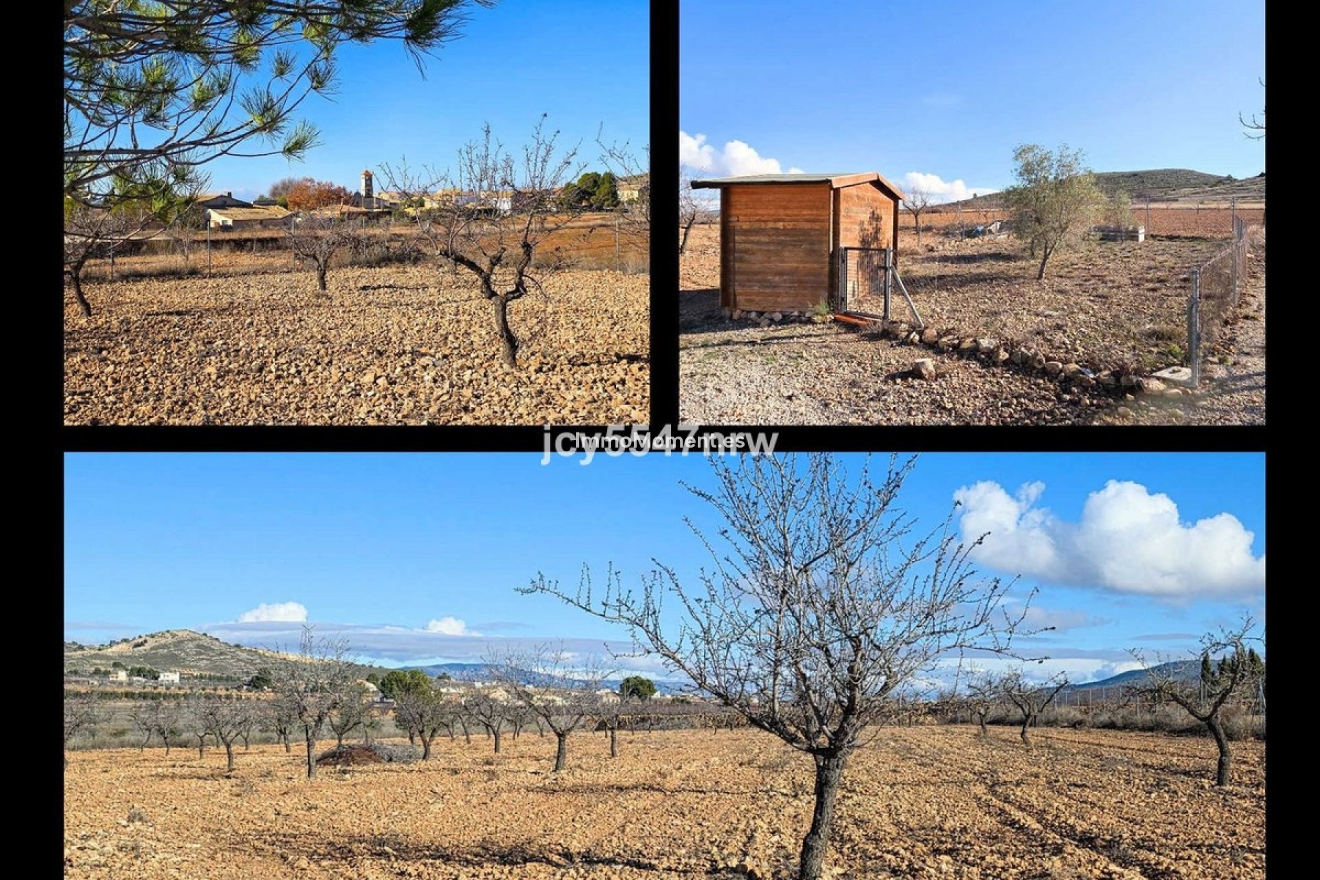 Wiederverkauf - Freistehende Villa - Jumilla - Cañada del Trigo