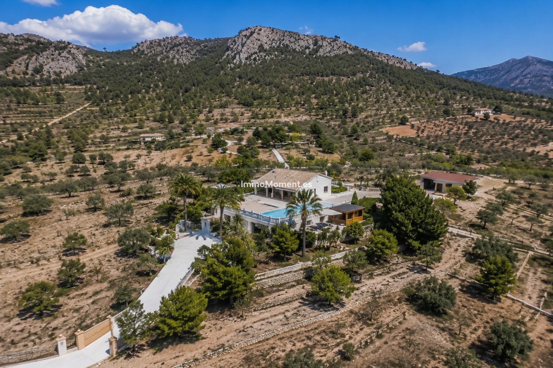 Wiederverkauf - Freistehende Villa - Jumilla - La Zarza