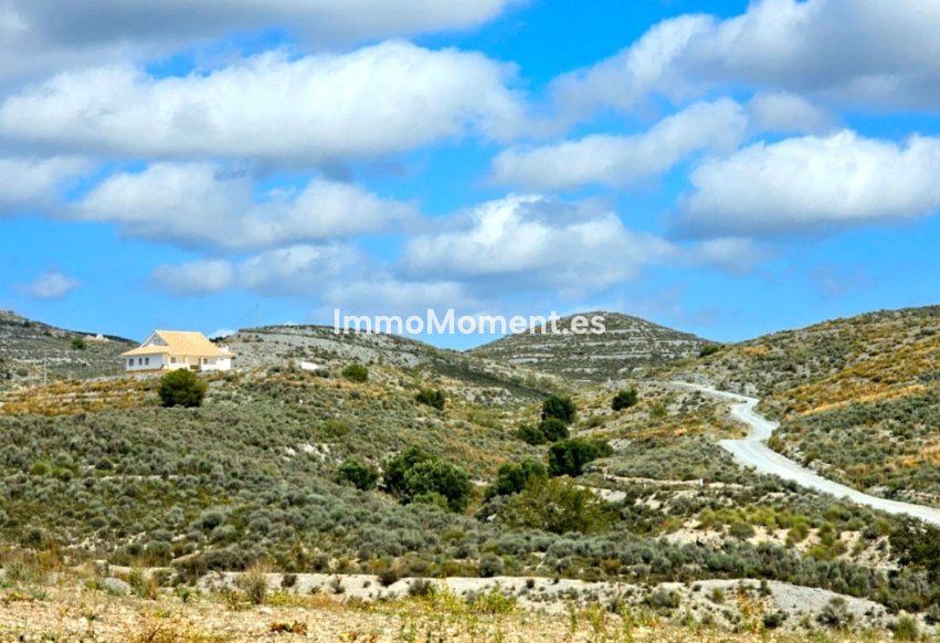 Wiederverkauf - Freistehende Villa - Lorca - Lorca Centro