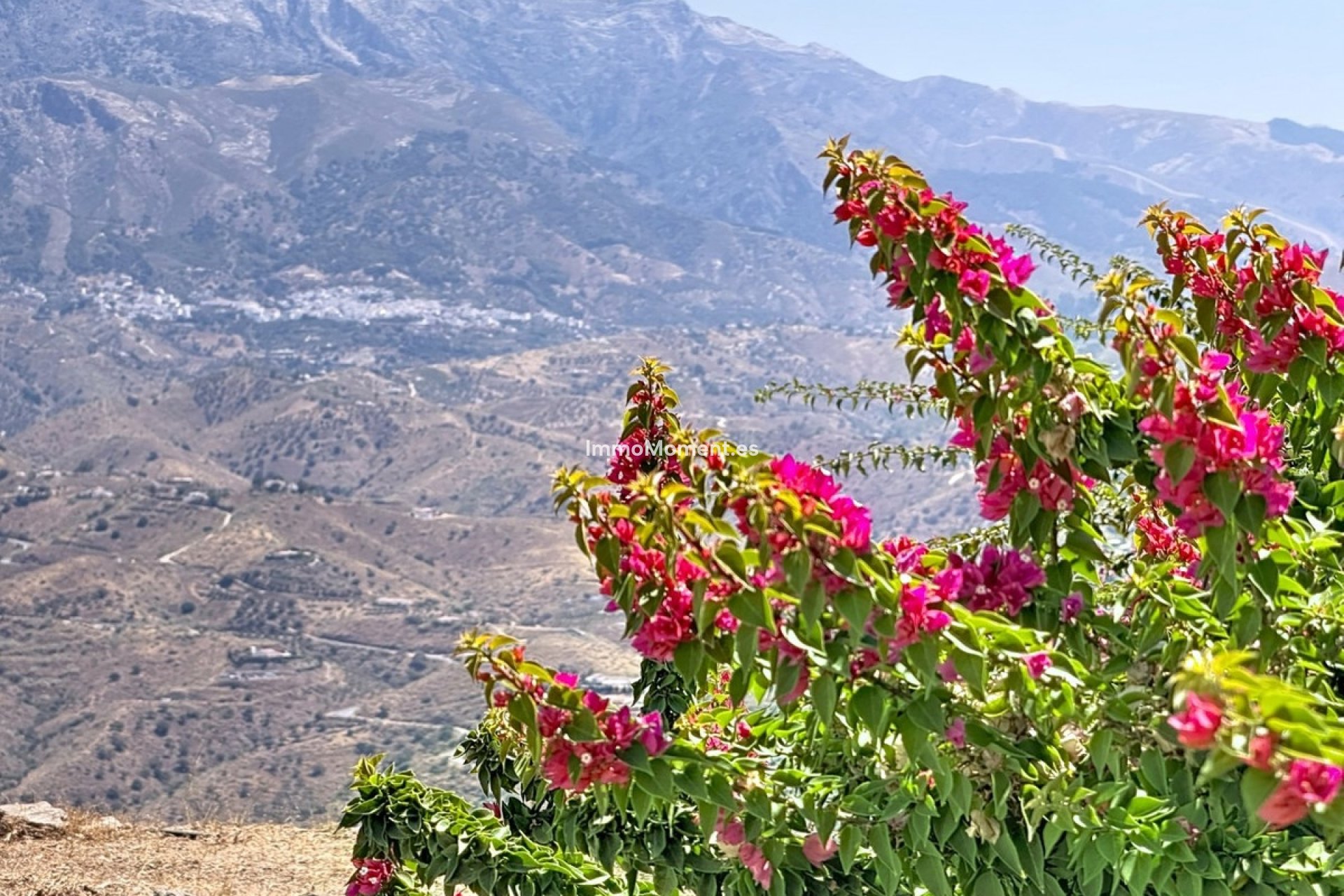 Wiederverkauf - Freistehende Villa - Málaga Este - El Trapiche