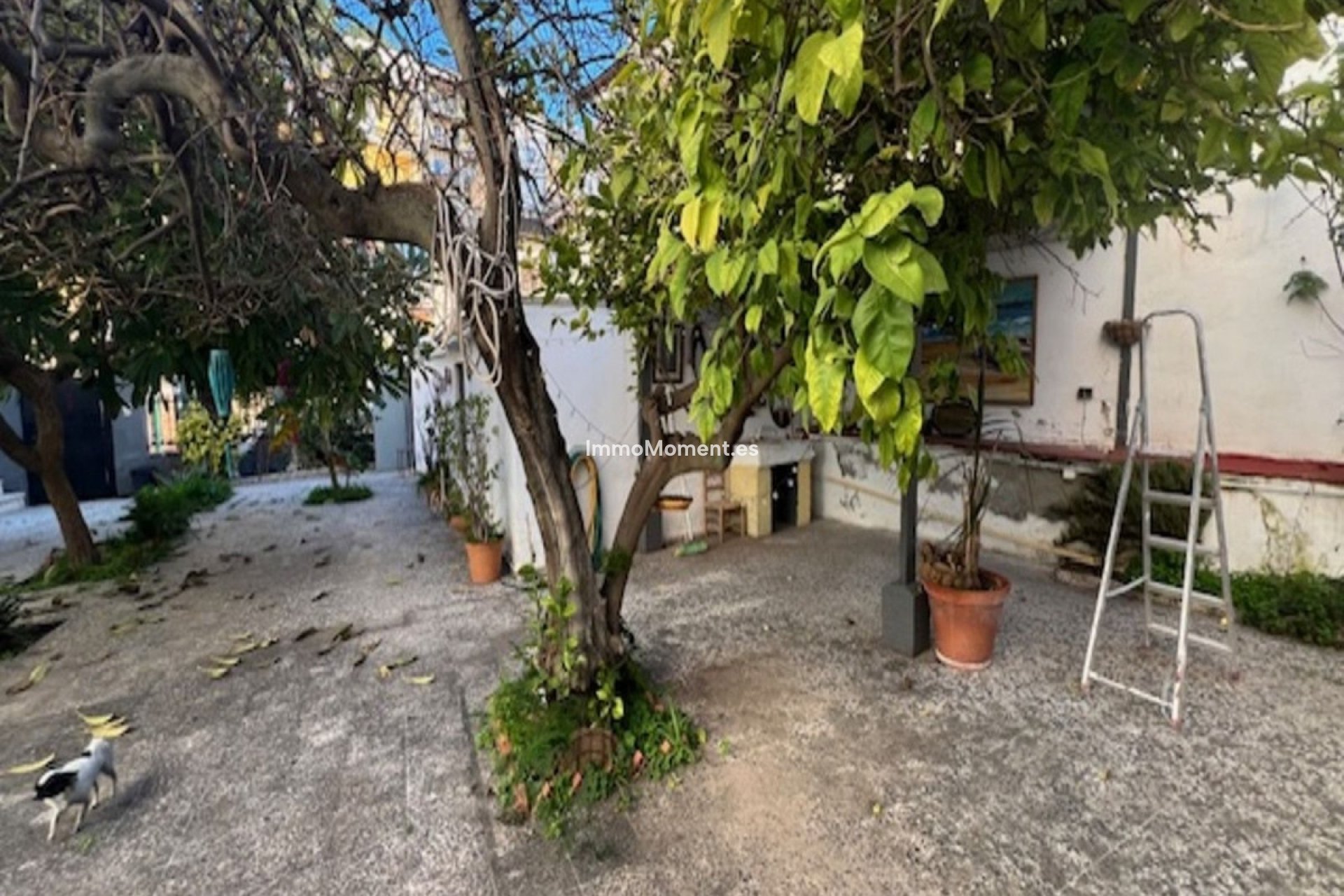 Wiederverkauf - Freistehende Villa - Málaga - La Victoria