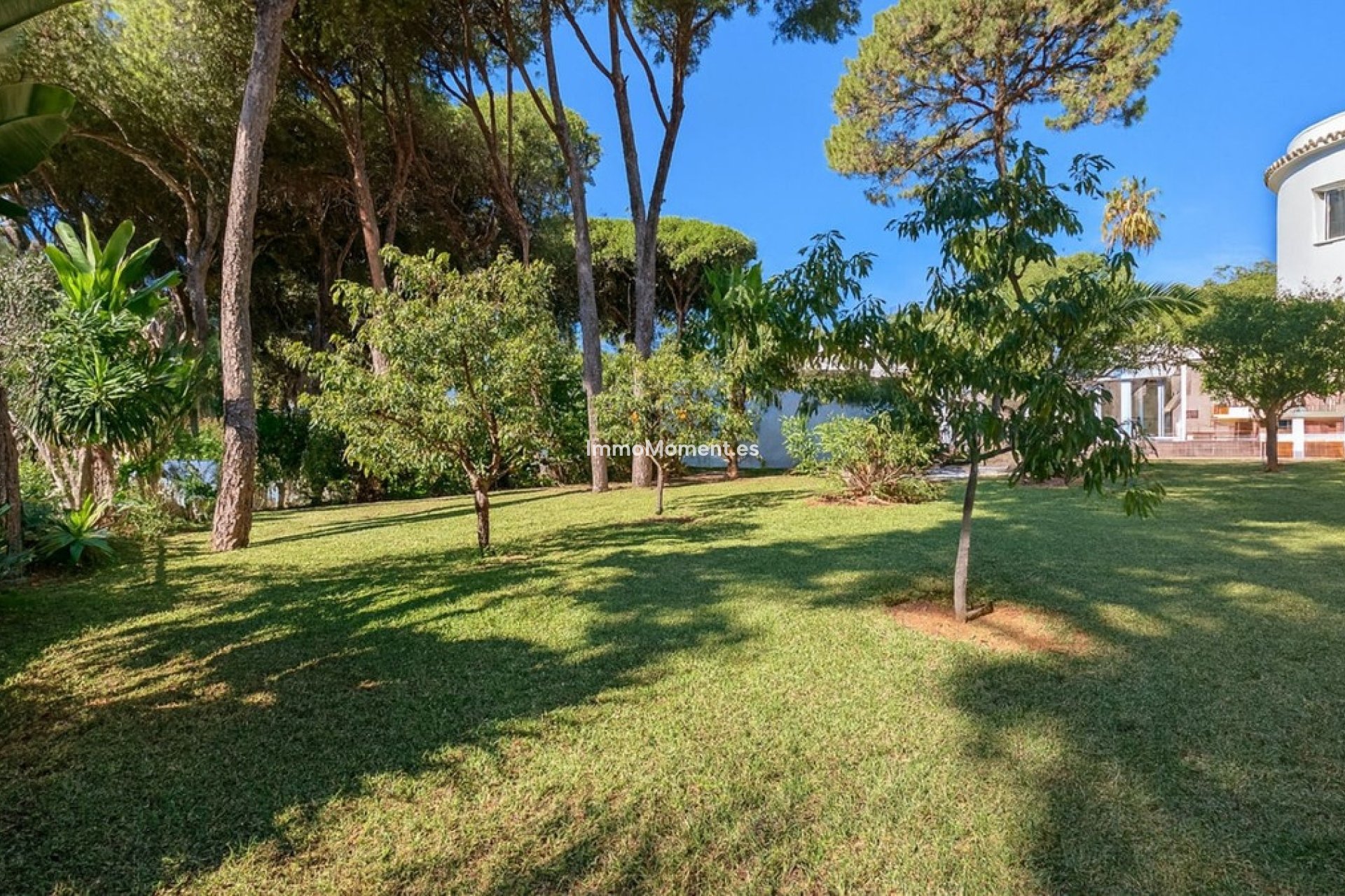 Wiederverkauf - Freistehende Villa - Marbella - El Rosario