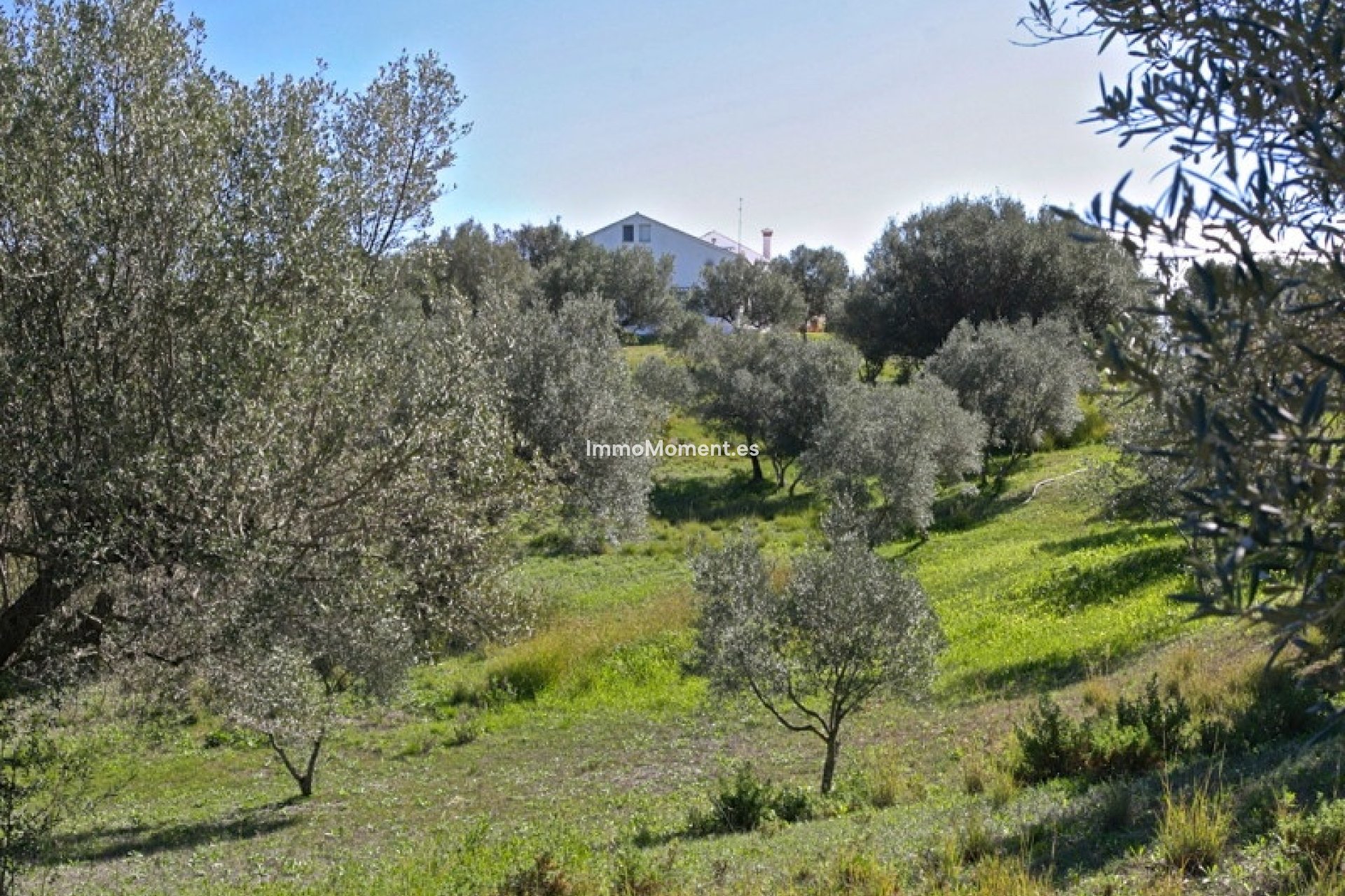 Wiederverkauf - Freistehende Villa - Marbella - Elviria