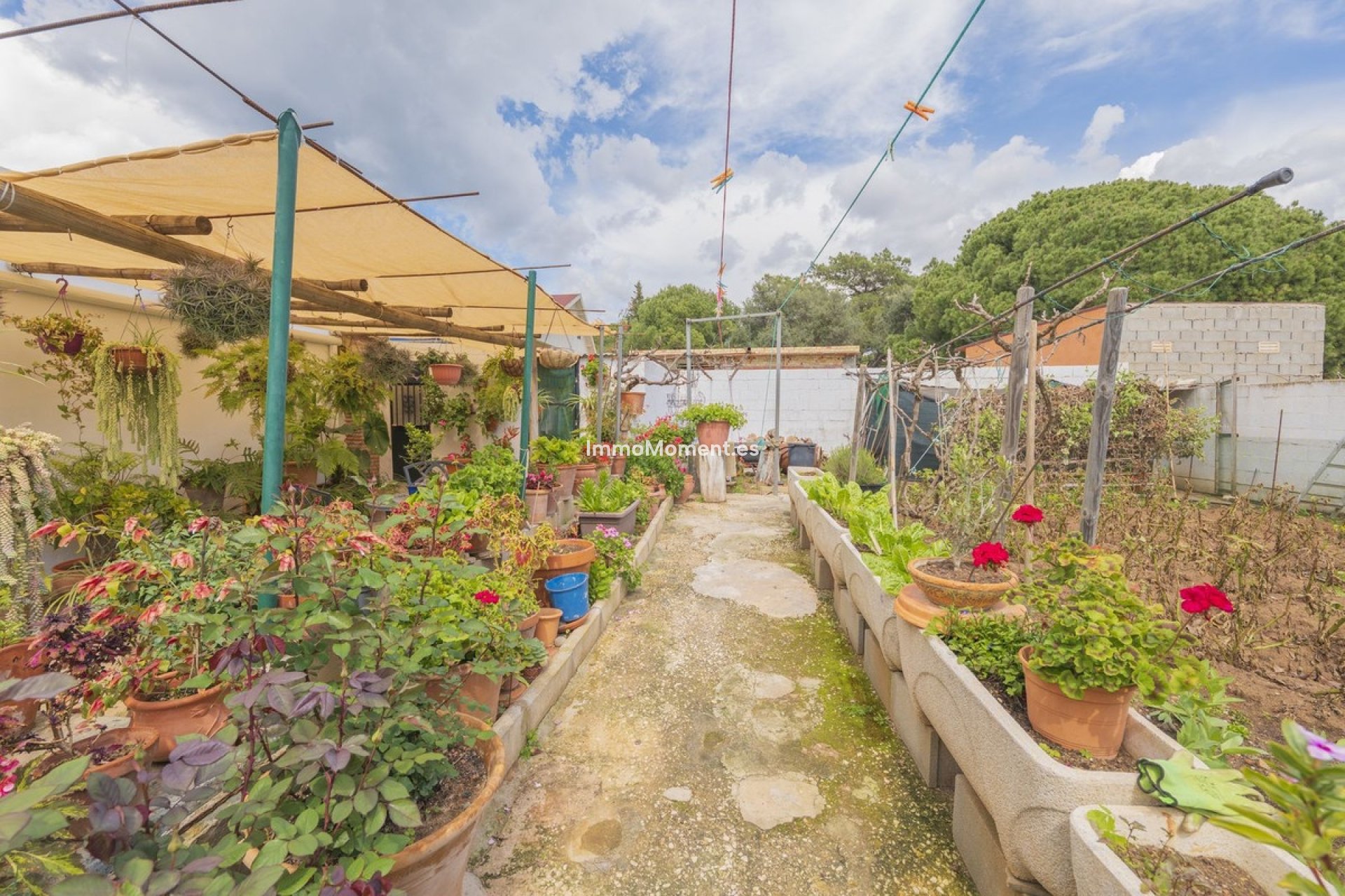 Wiederverkauf - Freistehende Villa - Marbella - Las Chapas