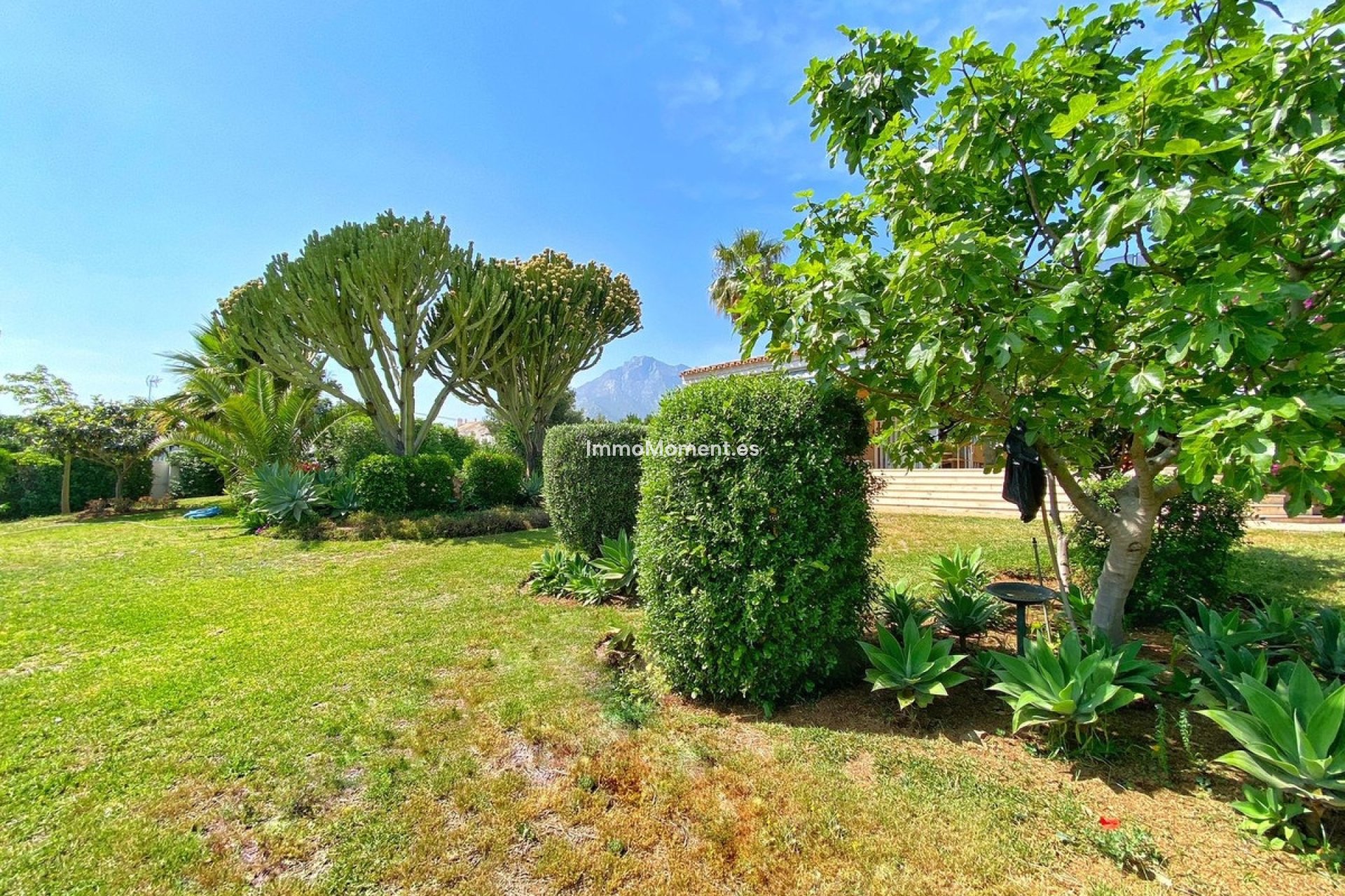 Wiederverkauf - Freistehende Villa - Marbella - Marbella Centro