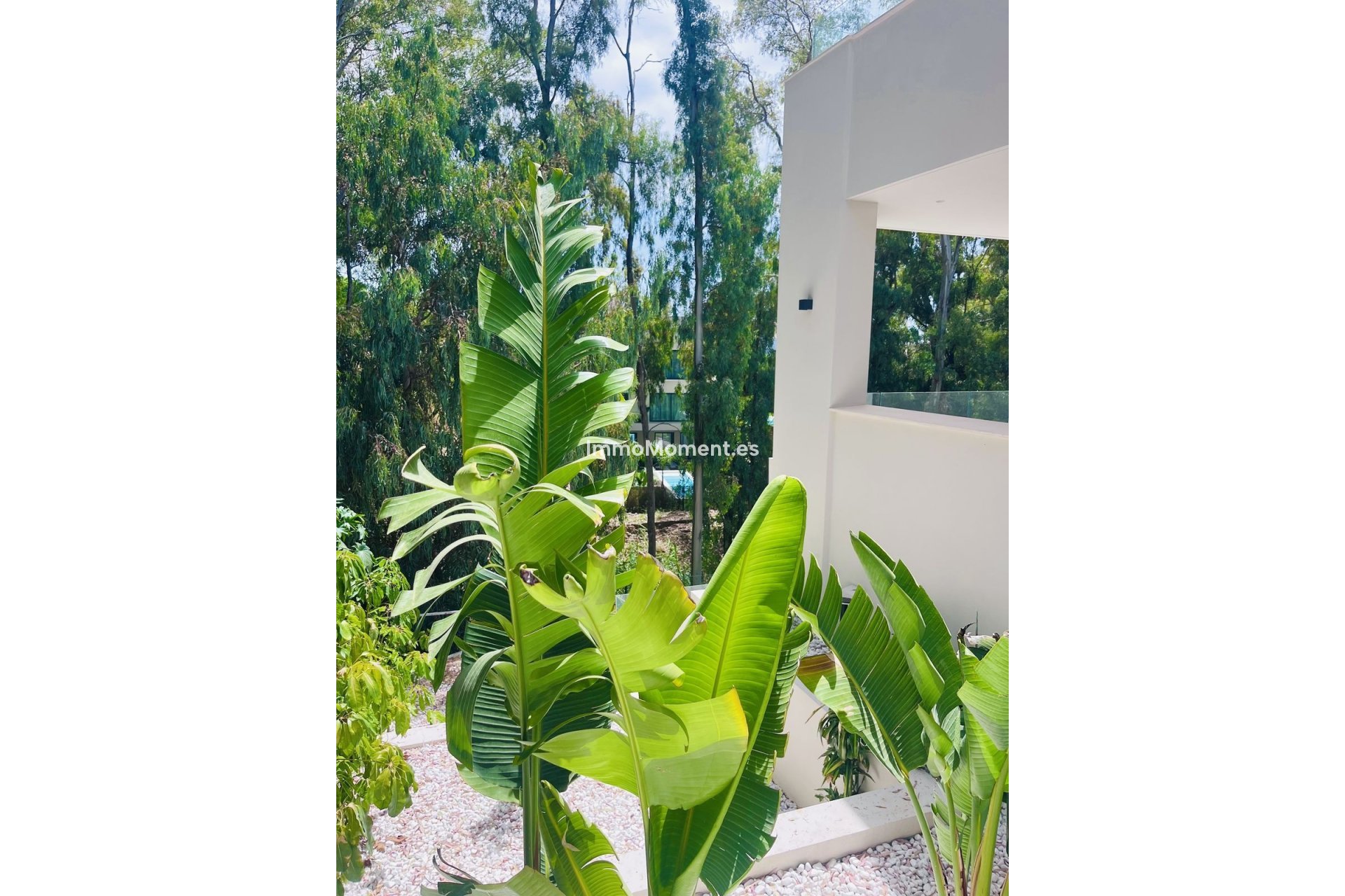 Wiederverkauf - Freistehende Villa - Marbella - Nueva Andalucía