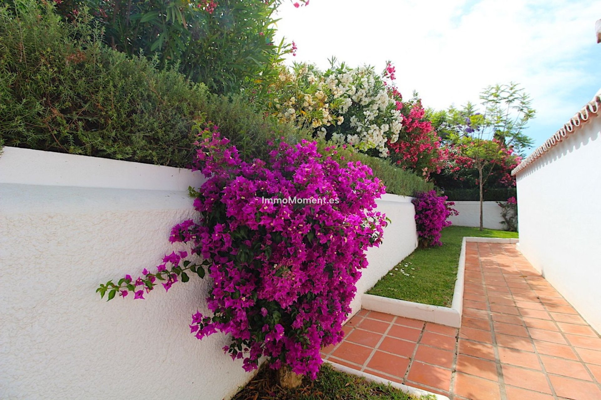 Wiederverkauf - Freistehende Villa - Marbella - Nueva Andalucía