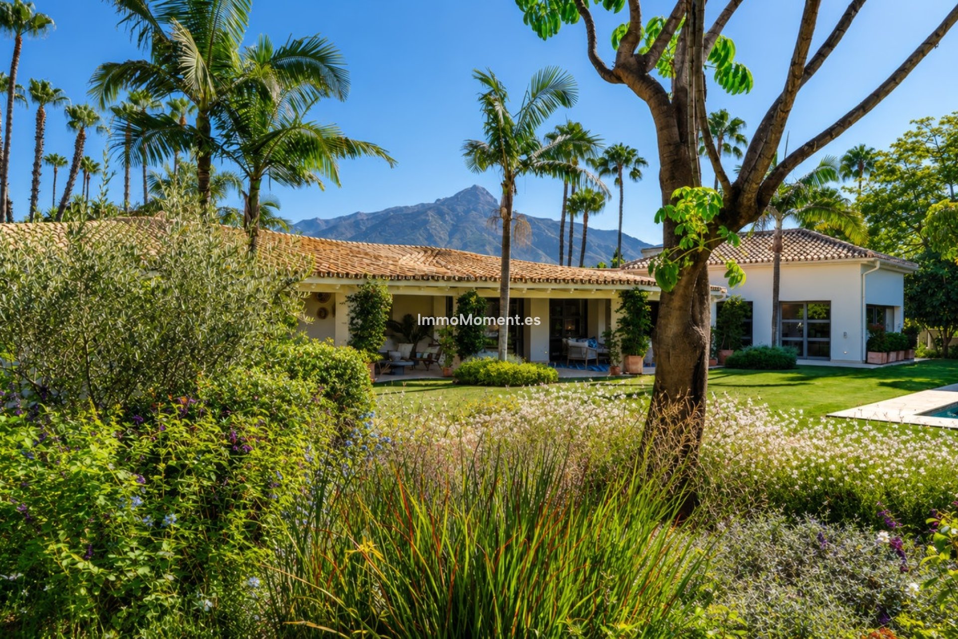 Wiederverkauf - Freistehende Villa - Marbella - Nueva Andalucía