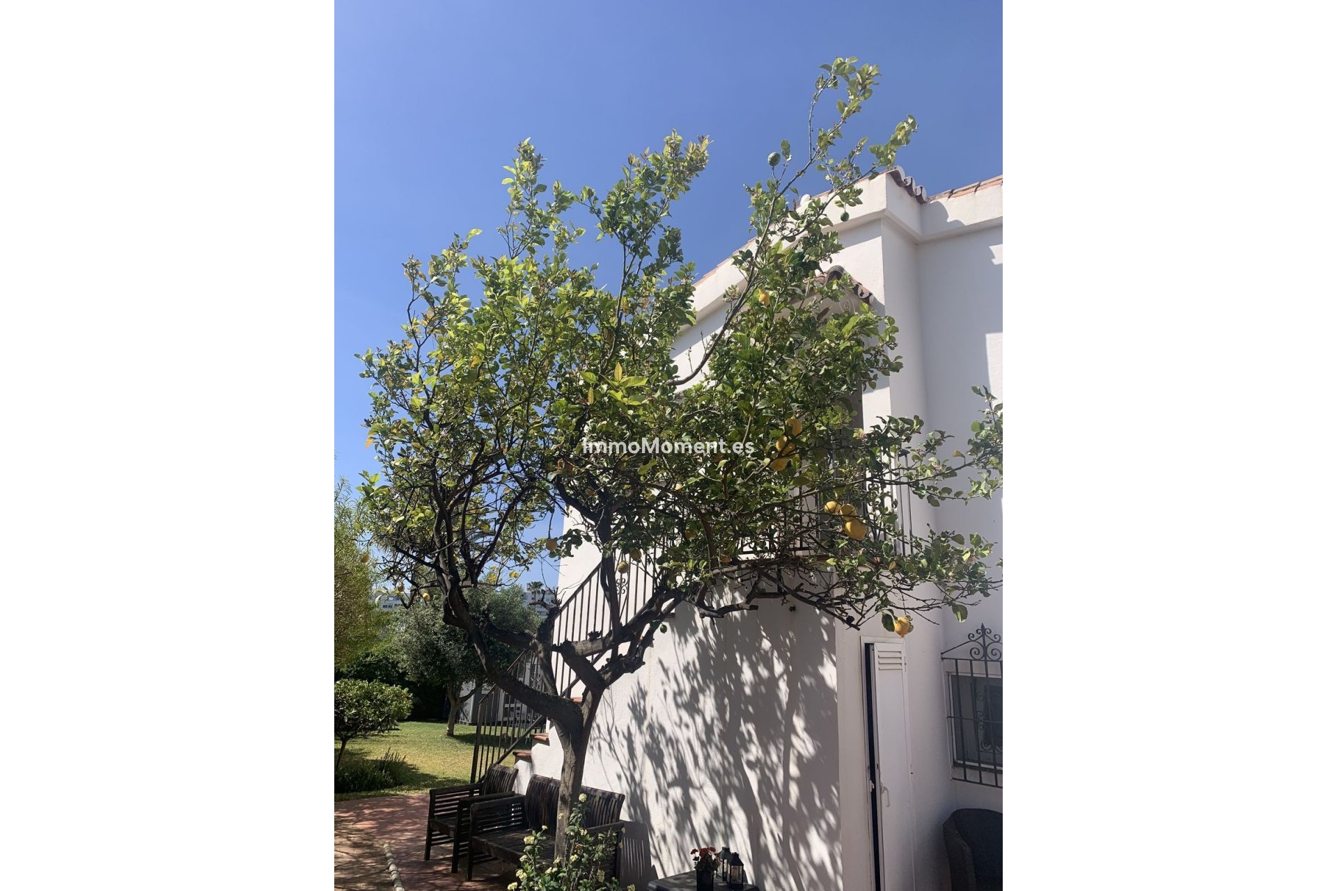 Wiederverkauf - Freistehende Villa - Marbella - San Pedro de Alcántara