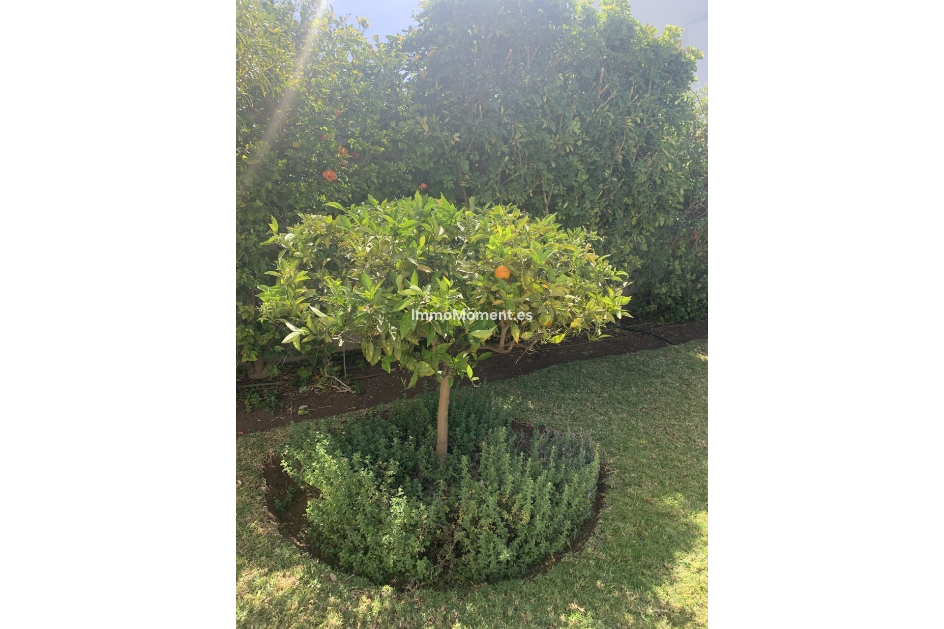 Wiederverkauf - Freistehende Villa - Marbella - San Pedro de Alcántara