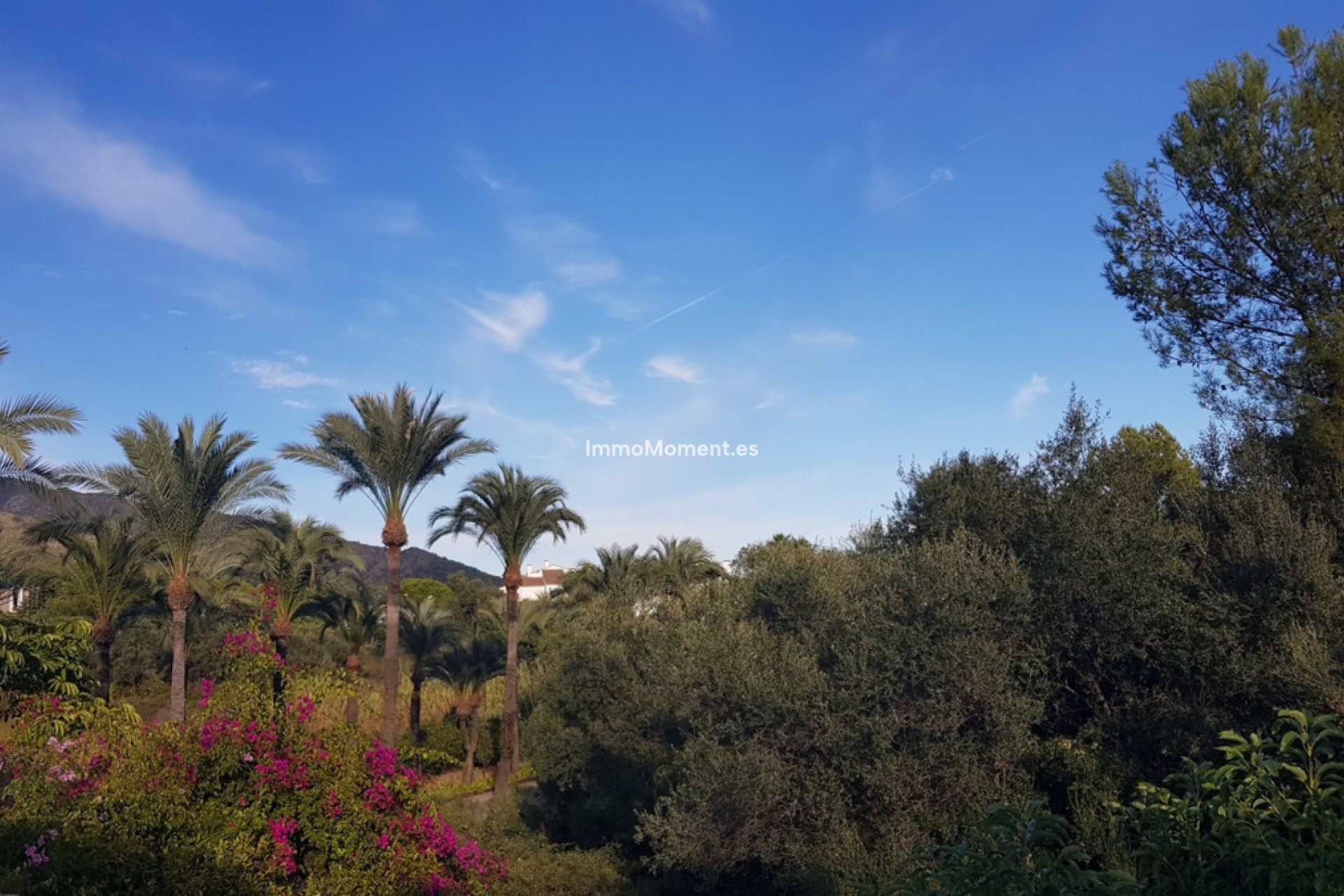 Wiederverkauf - Freistehende Villa - Marbella - Sierra Blanca