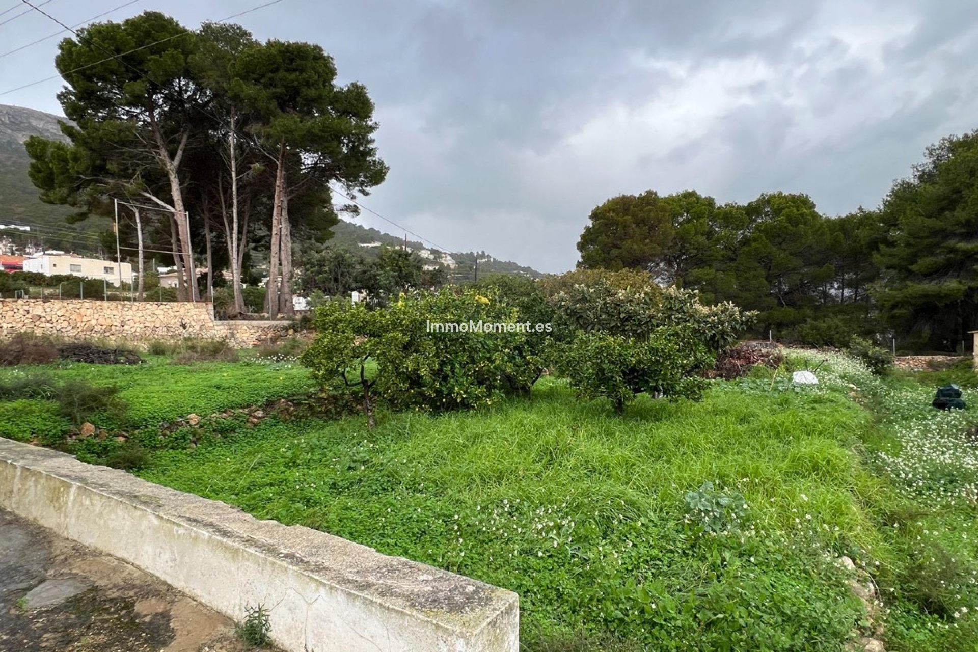 Wiederverkauf - Freistehende Villa - Novelda - Estación