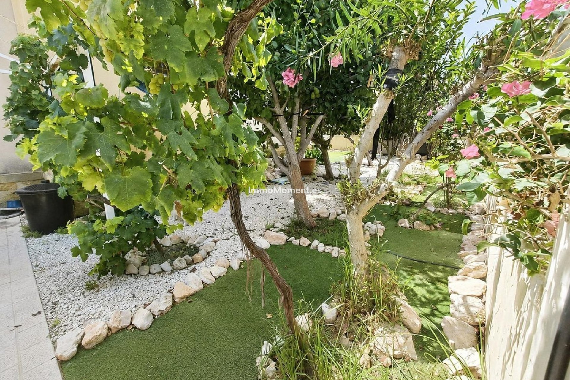 Wiederverkauf - Freistehende Villa - Orihuela - Cabo roig - La Zenia