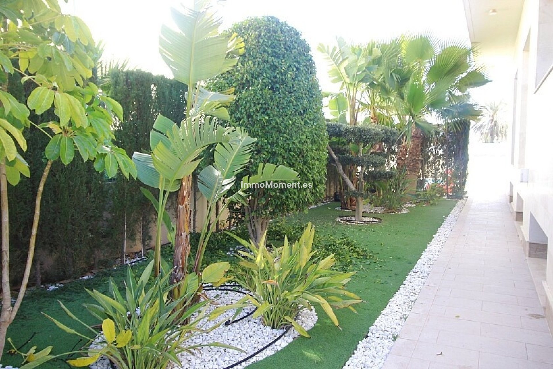Wiederverkauf - Freistehende Villa - Orihuela Costa - Cabo roig - La Zenia
