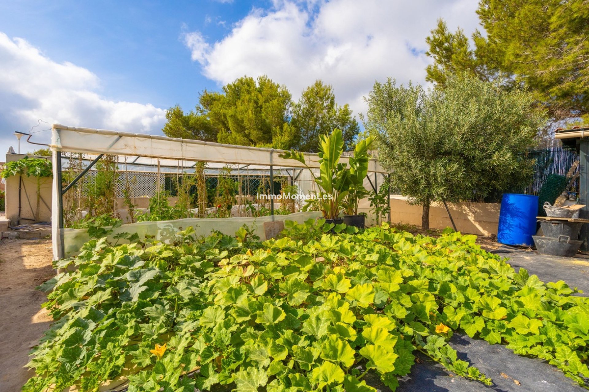 Wiederverkauf - Freistehende Villa - Orihuela Costa - Villamartín