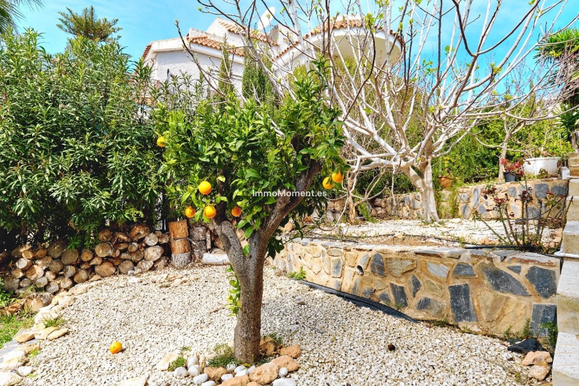 Wiederverkauf - Freistehende Villa - Orihuela - Dehesa de Campoamor