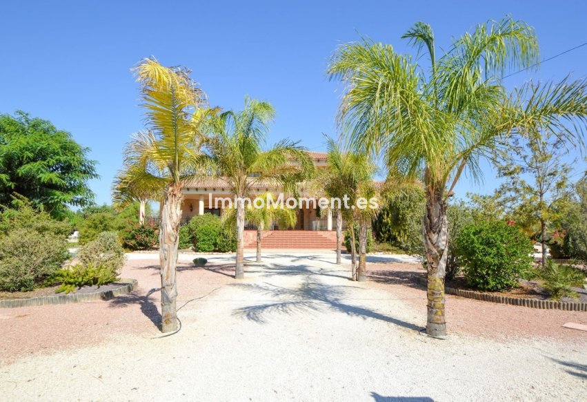 Wiederverkauf - Freistehende Villa - Orihuela - La Murada