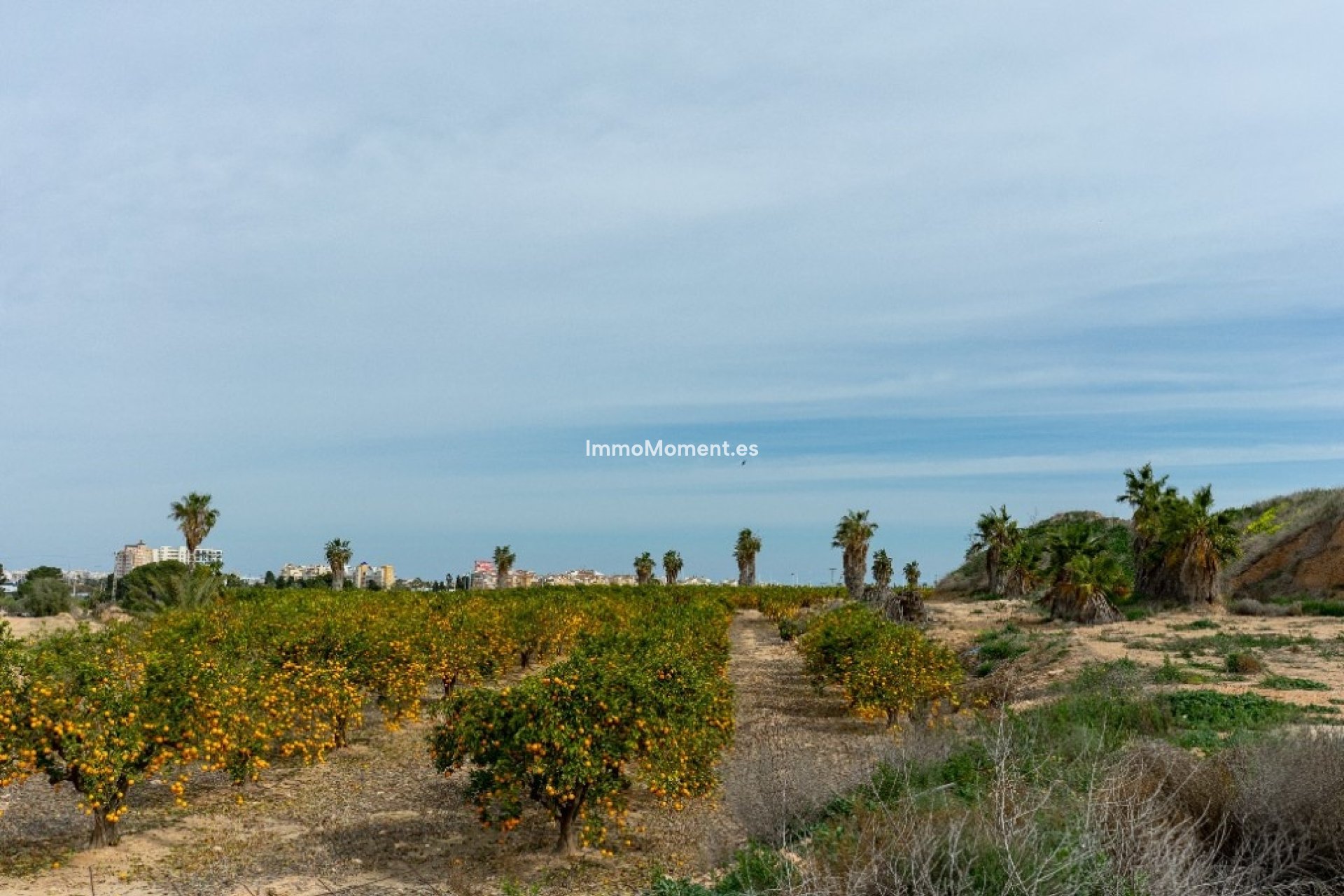 Wiederverkauf - Freistehende Villa - Orihuela - Los Altos