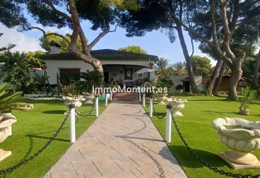 Wiederverkauf - Freistehende Villa - Orihuela - Orihuela Costa