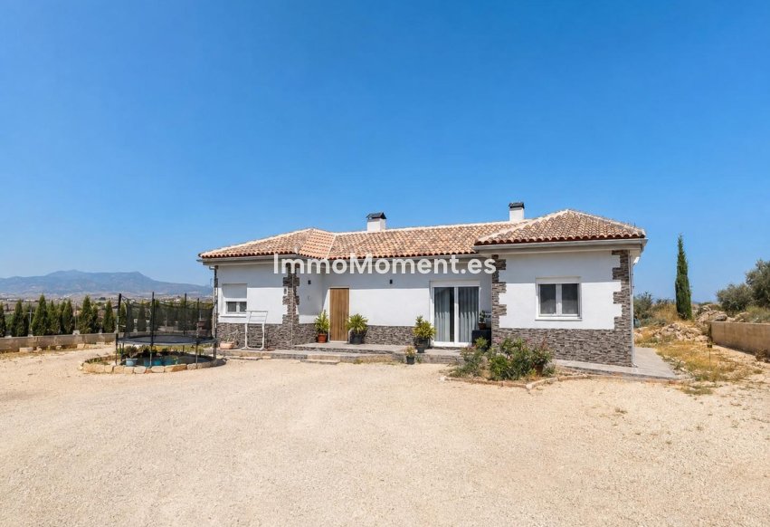 Wiederverkauf - Freistehende Villa - Pinoso - Pinoso Centro