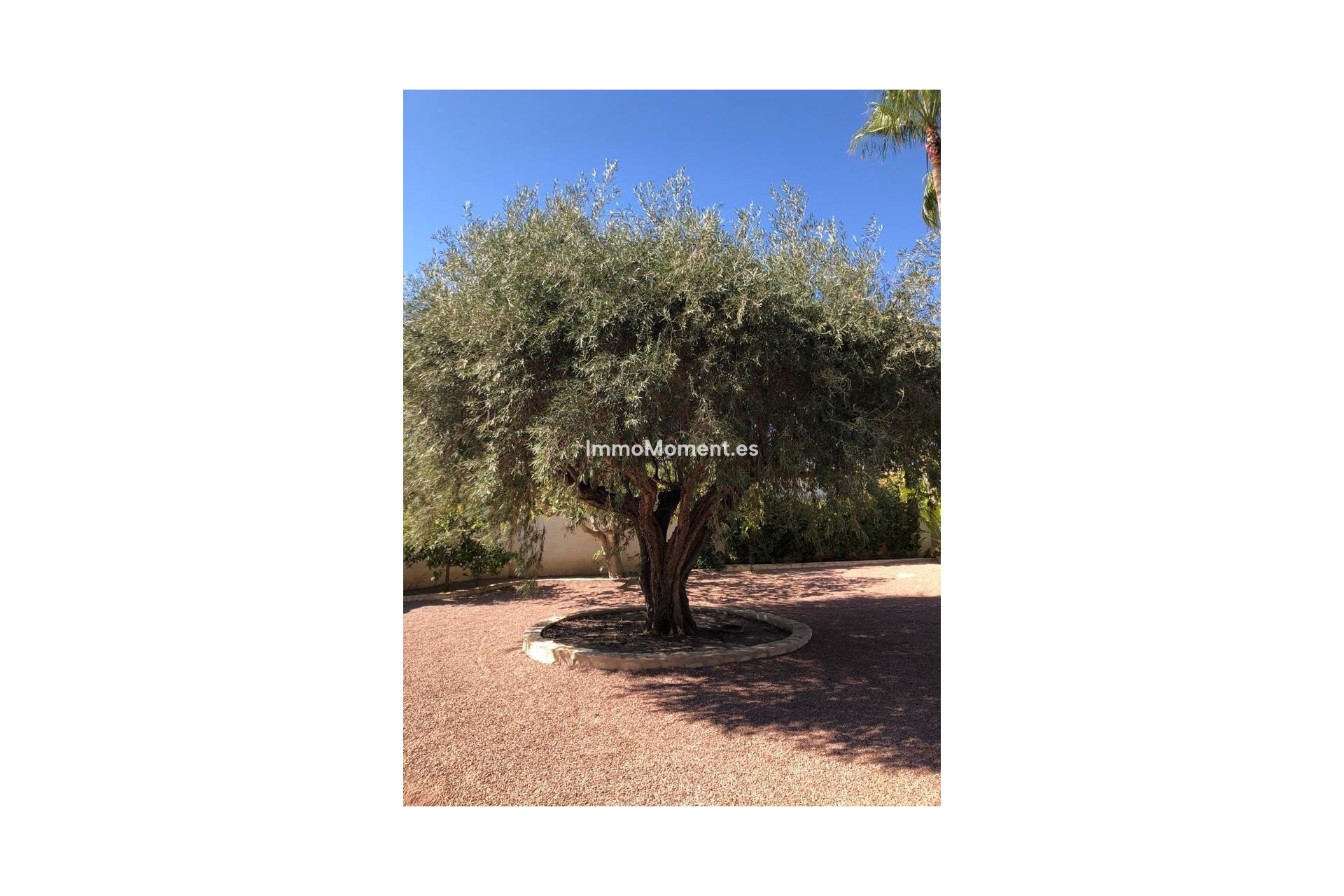Wiederverkauf - Freistehende Villa - Rojales - Ciudad Quesada