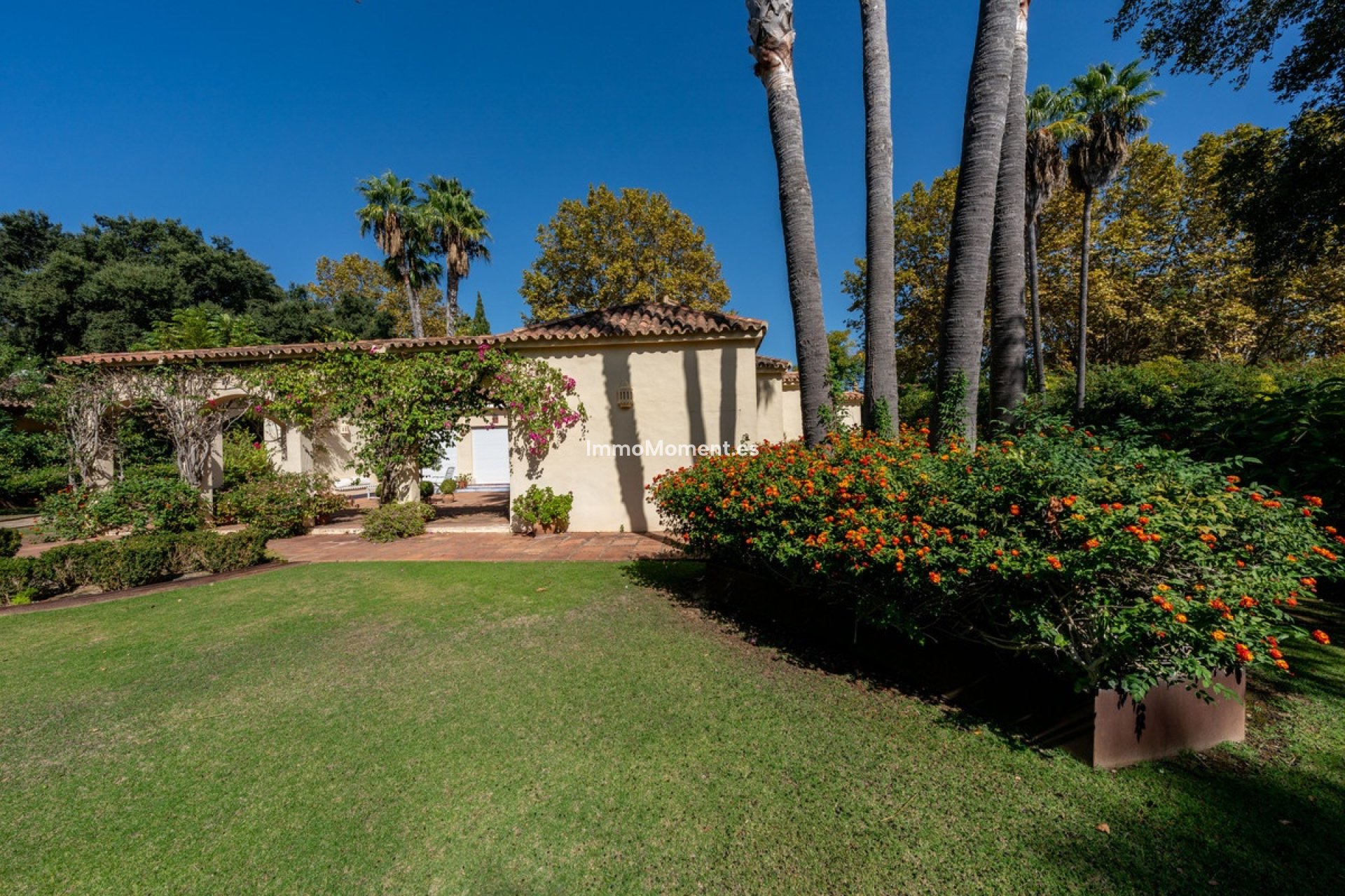 Wiederverkauf - Freistehende Villa - Sotogrande - Sotogrande Alto