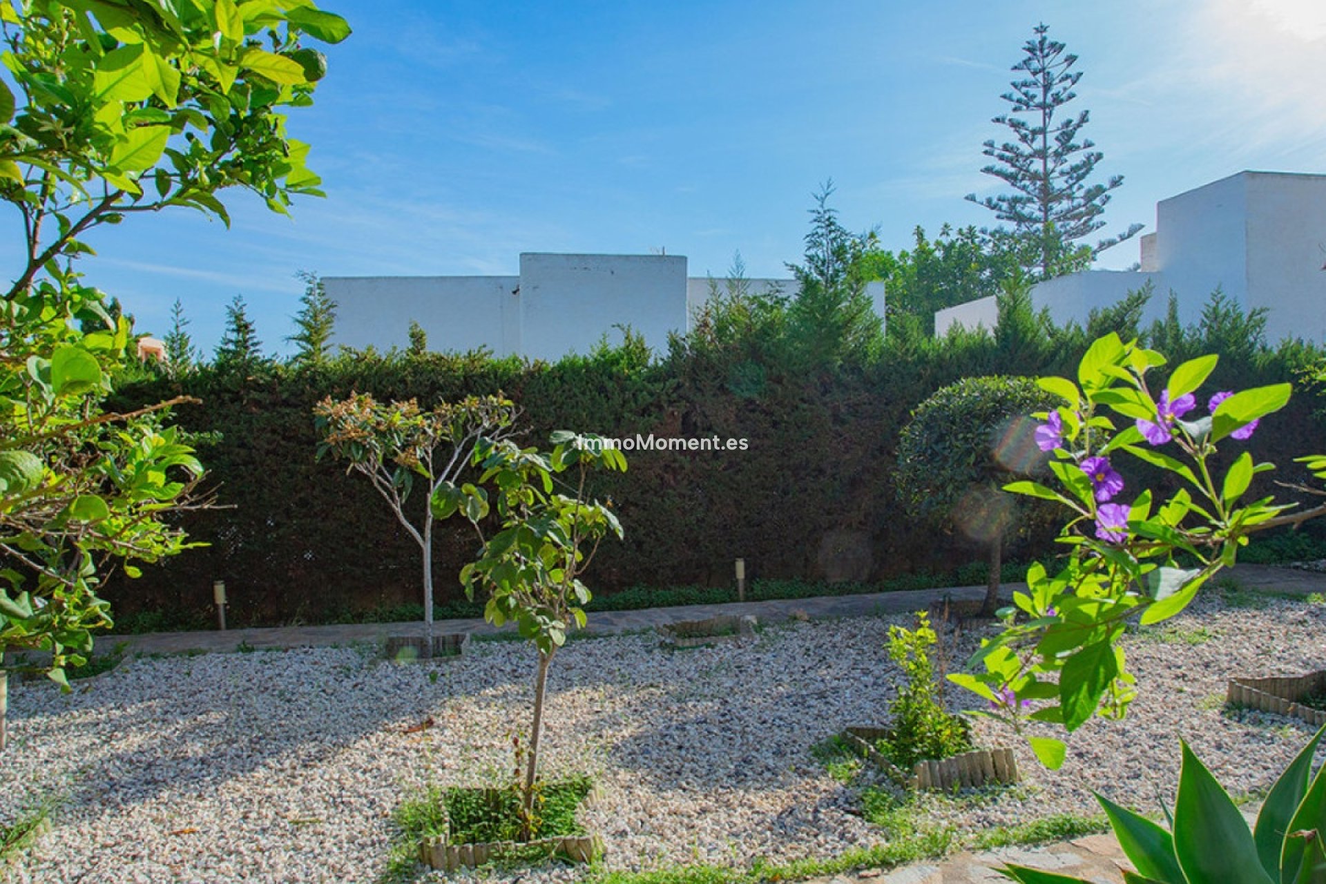 Wiederverkauf - Freistehende Villa - Torrevieja - Torre la mata