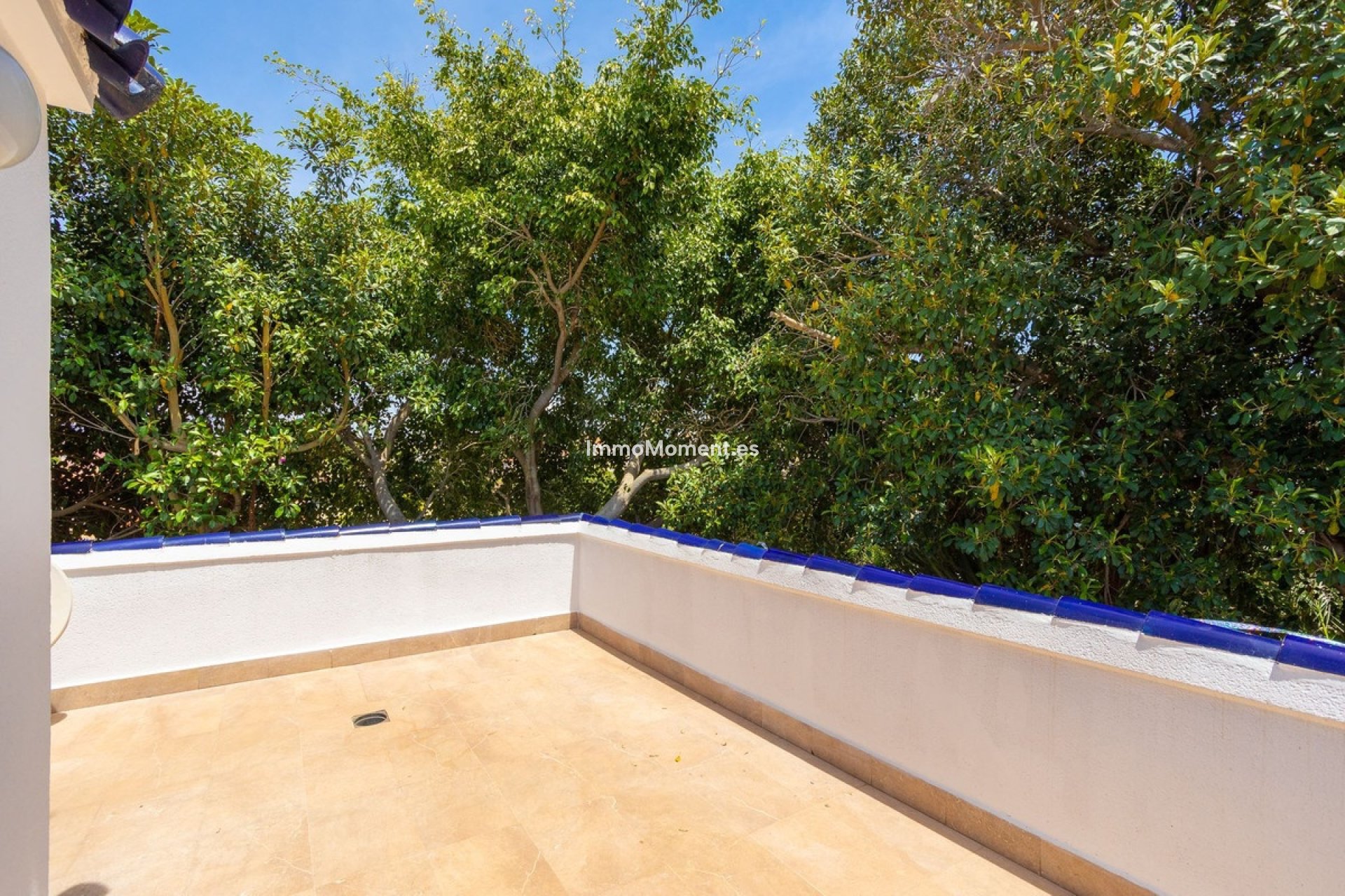 Wiederverkauf - Freistehende Villa - Torrevieja - Torrevieja Centro