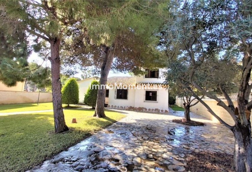 Wiederverkauf - Freistehende Villa - Torrevieja - Torrevieja Centro