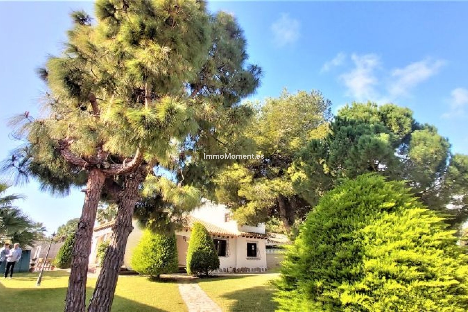 Wiederverkauf - Freistehende Villa - Torrevieja - Torrevieja Centro