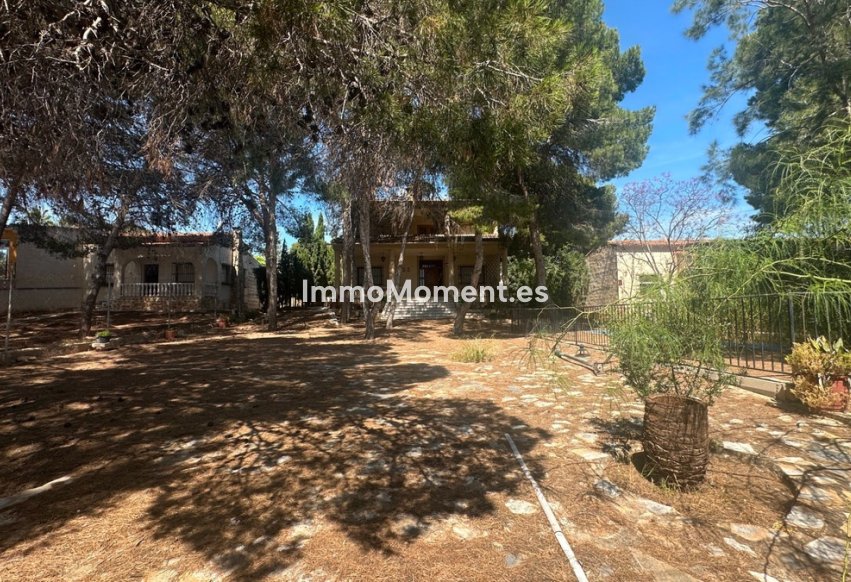 Wiederverkauf - Freistehende Villa - Torrevieja - Torrevieja Centro