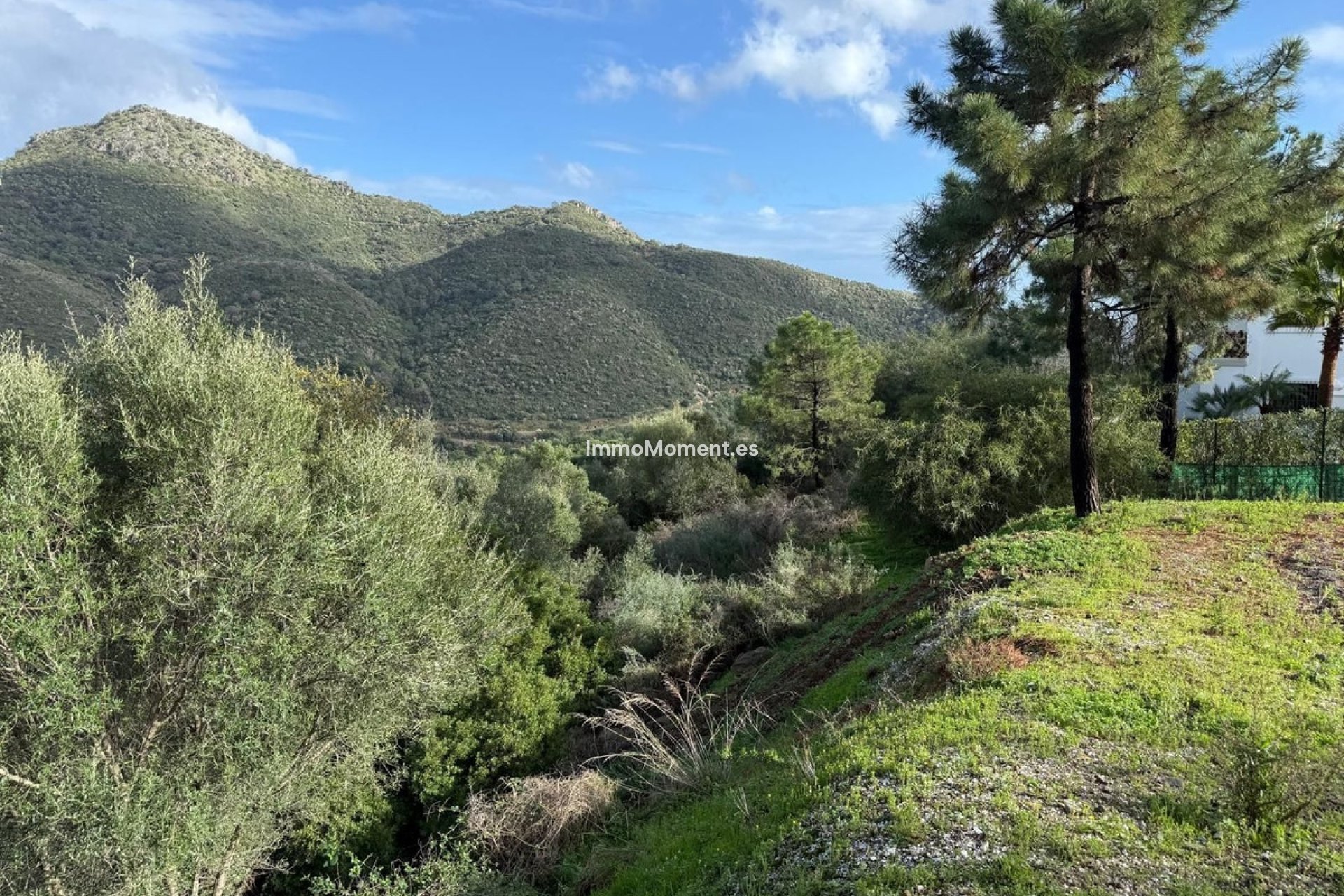 Wiederverkauf - Grundstück - Benahavís - Benahavís Centro