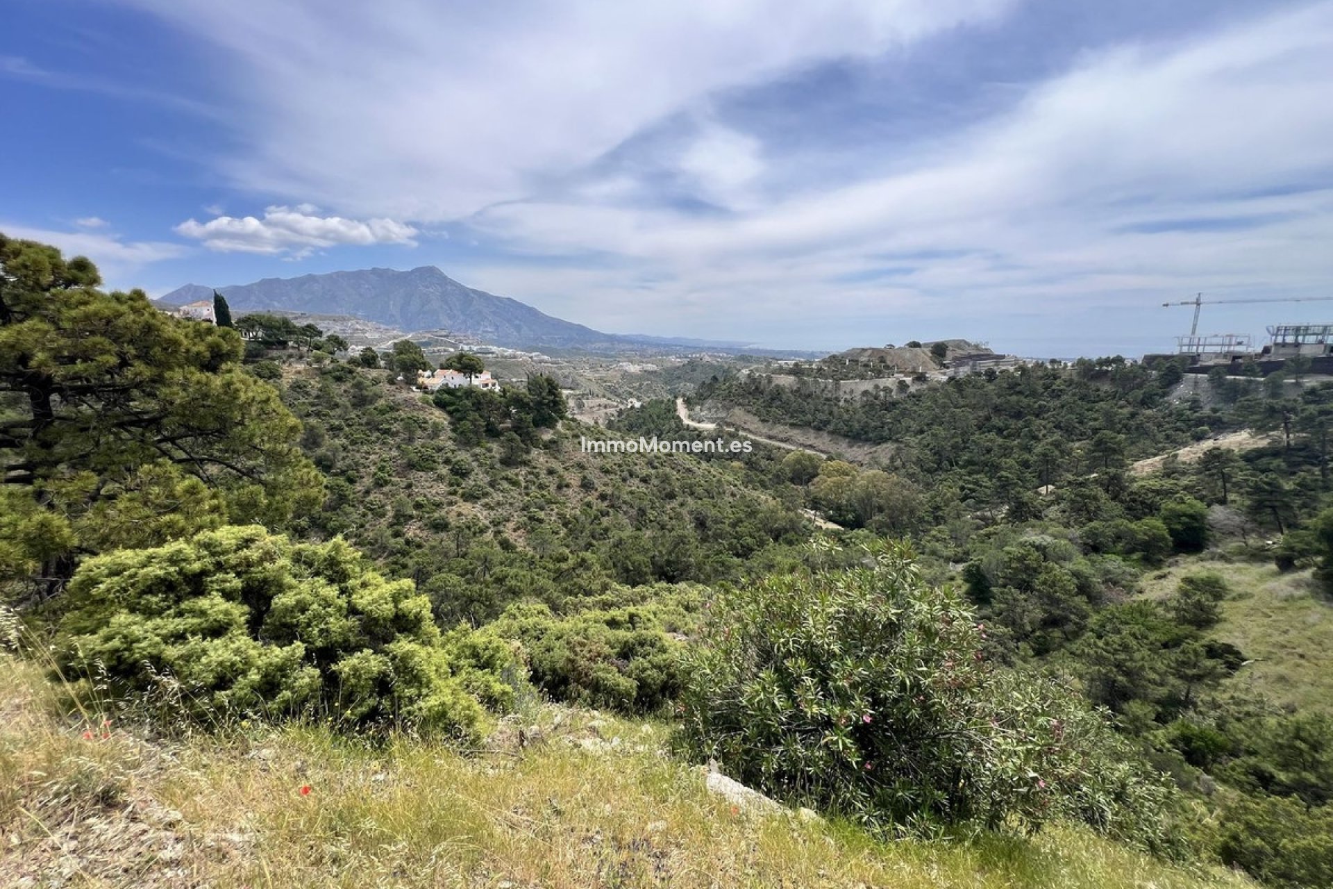 Wiederverkauf - Grundstück - Benahavís - El Madroñal