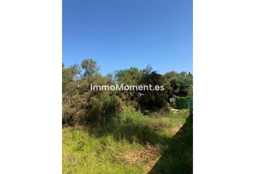 Wiederverkauf - Grundstück - Estepona  - Atalaya